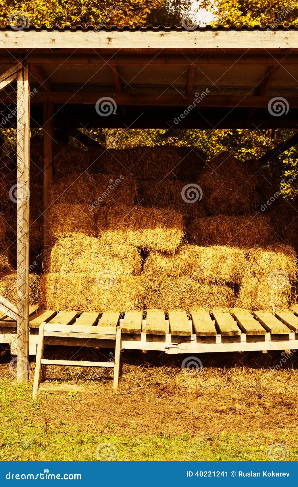 Hay storage. stock image. Image of country, autumn, brown 40221241