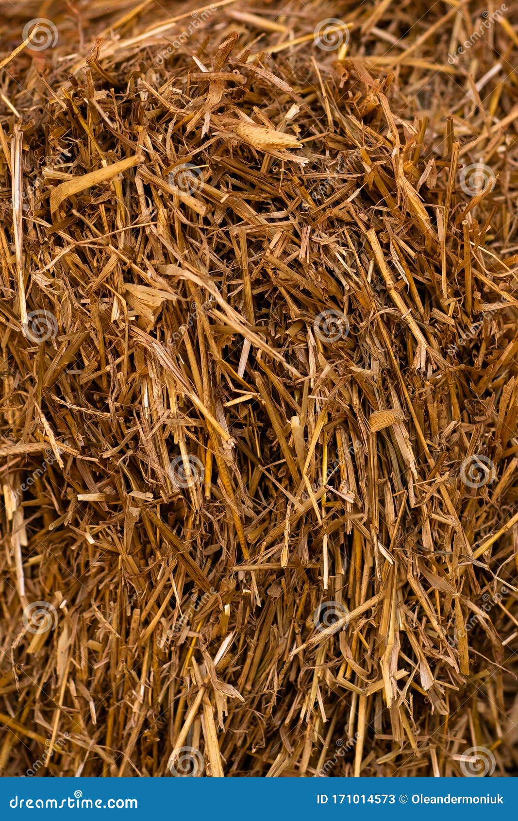 Hay Texture Hay Bales Are Stacked In Large Stacks Harvesting In