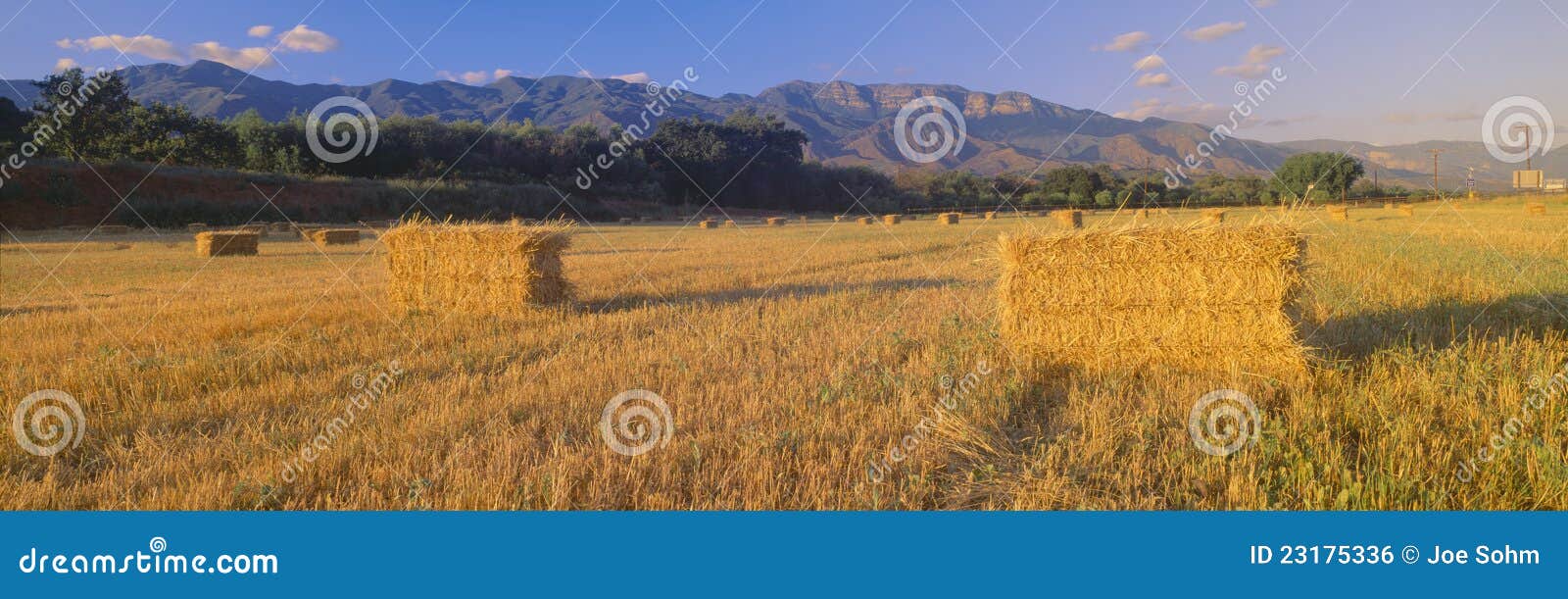 Hayfields in Upper Ojai Valley Stock Photo Image of fields