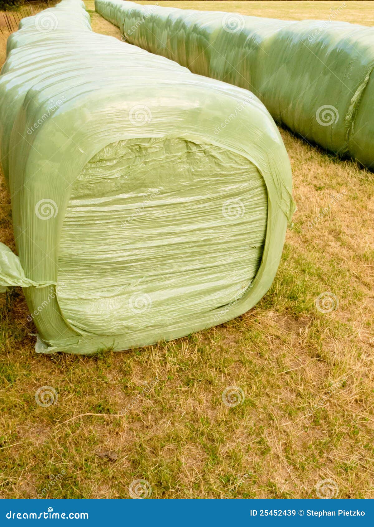 Haylage Bales Left Outdoors for Fermentation Stock Image Image of