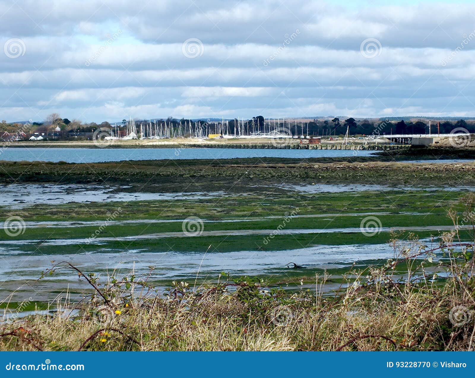 Hayling Island Oyster Beds Stock Photography | CartoonDealer.com #93228770