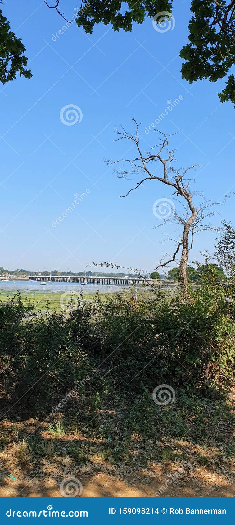 Hayling island sky stock photo. Image of flower, water 159098214