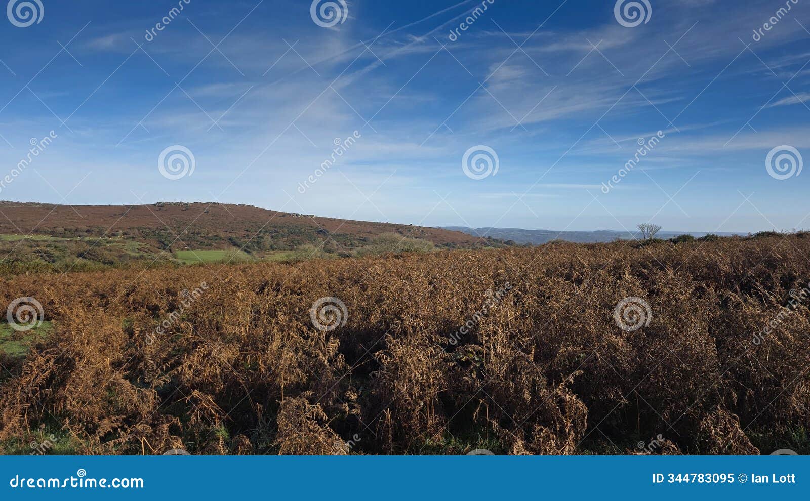 hayne down, manaton, dartmoor national park