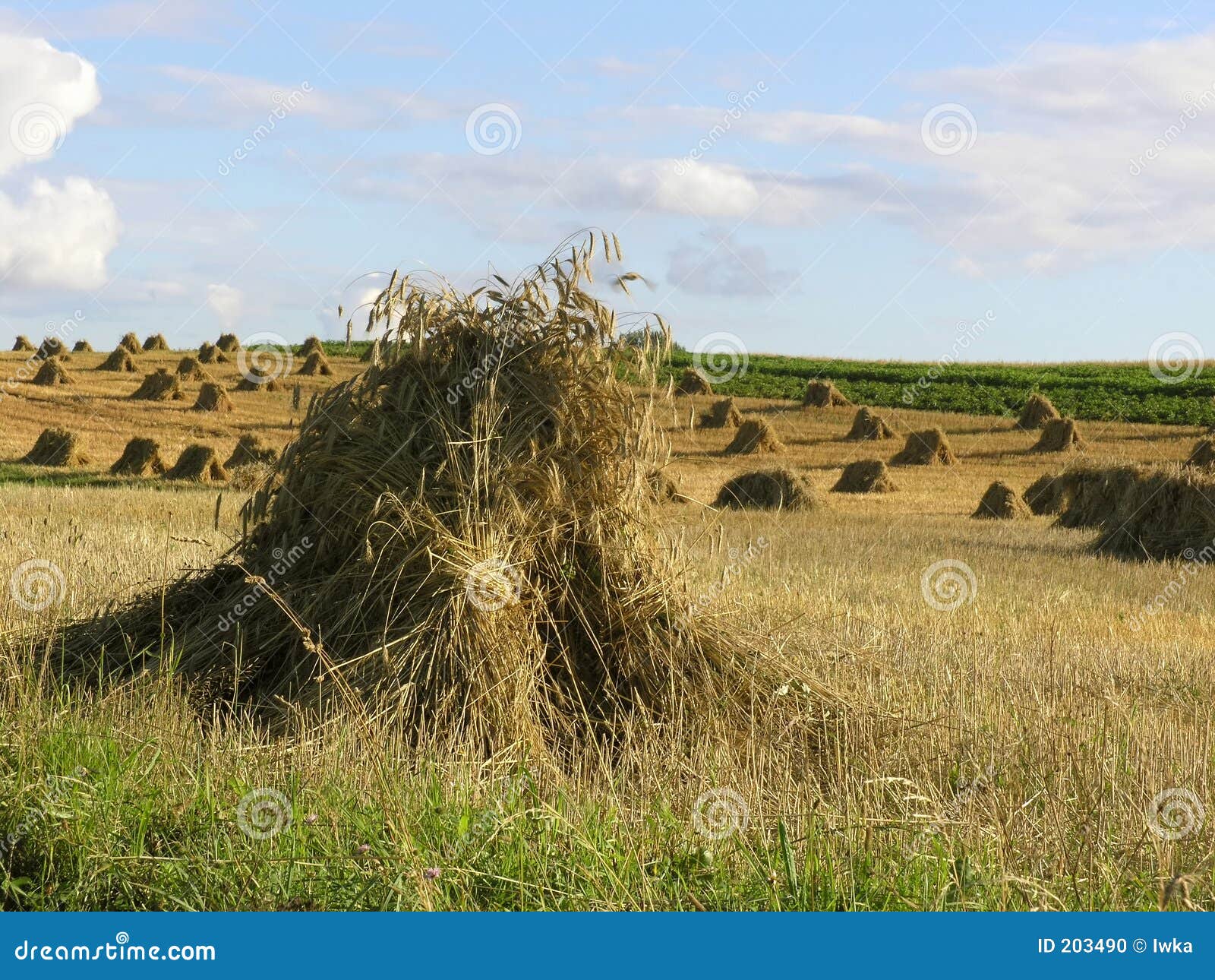 Haystack Stock Photo - Image: 203490
