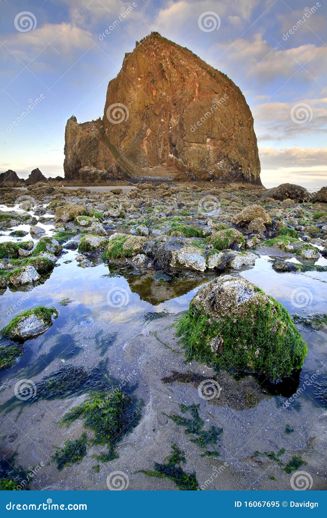 haystack rock at low tide