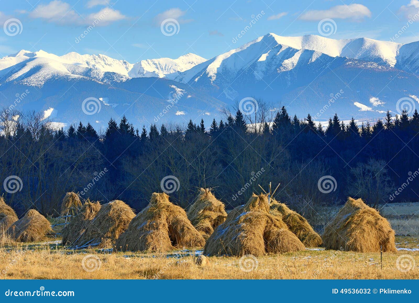 Haystack S on Mountain Meadow Stock Photo Image of weather, mist