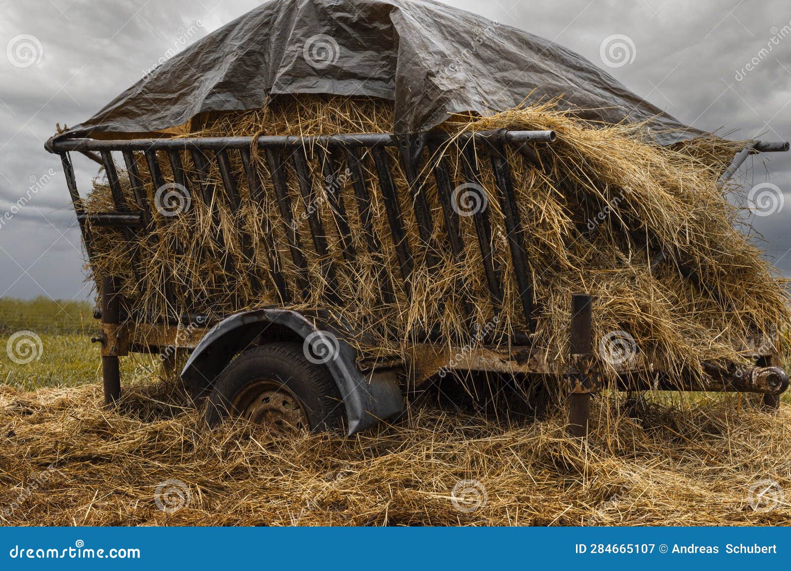 Haystack with Wheels in the Nature with Sky and Clouds Stock Image