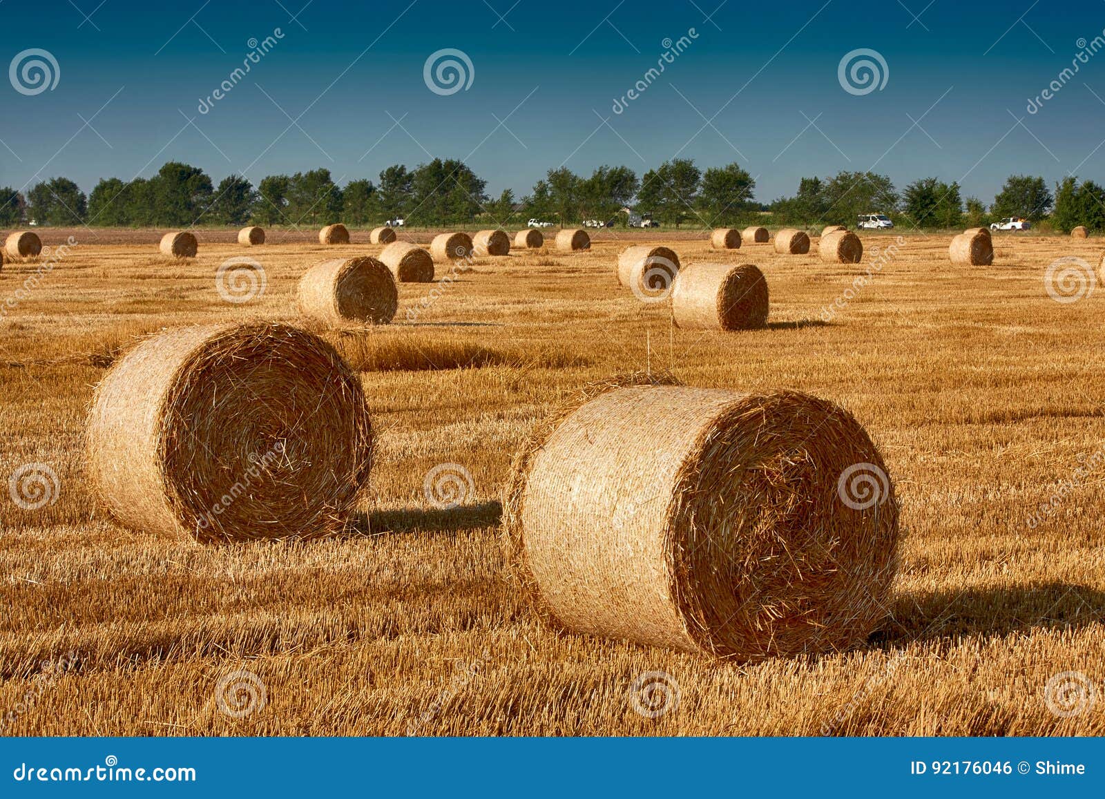 Haystacks. A palha dos monte de feno saiu após ter colhido o trigo, a paisagem do campo com o Rolls e o céu, conceito da agricultura