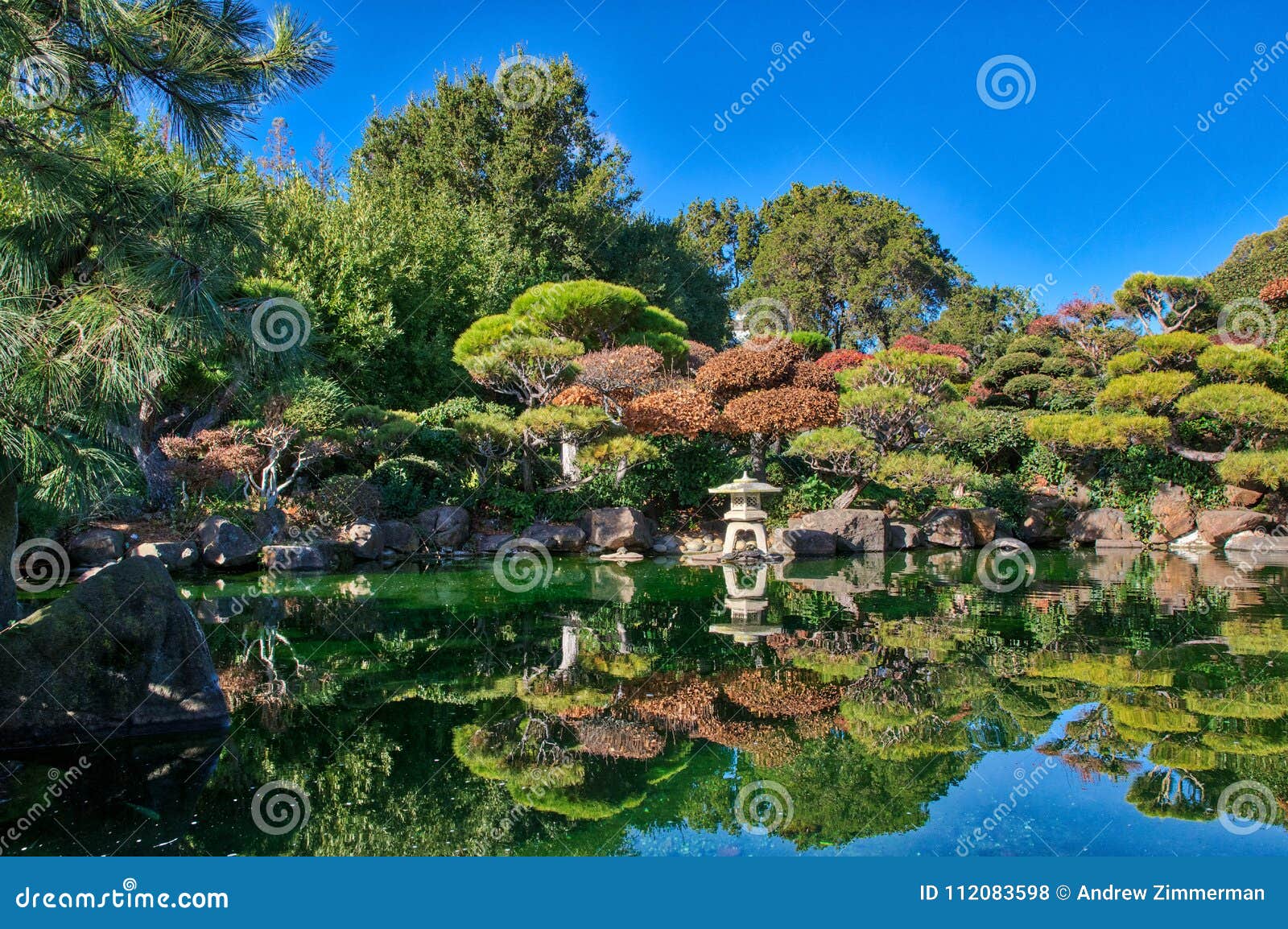 Hayward California Japanese Garden Pond Stock Photo Image Of