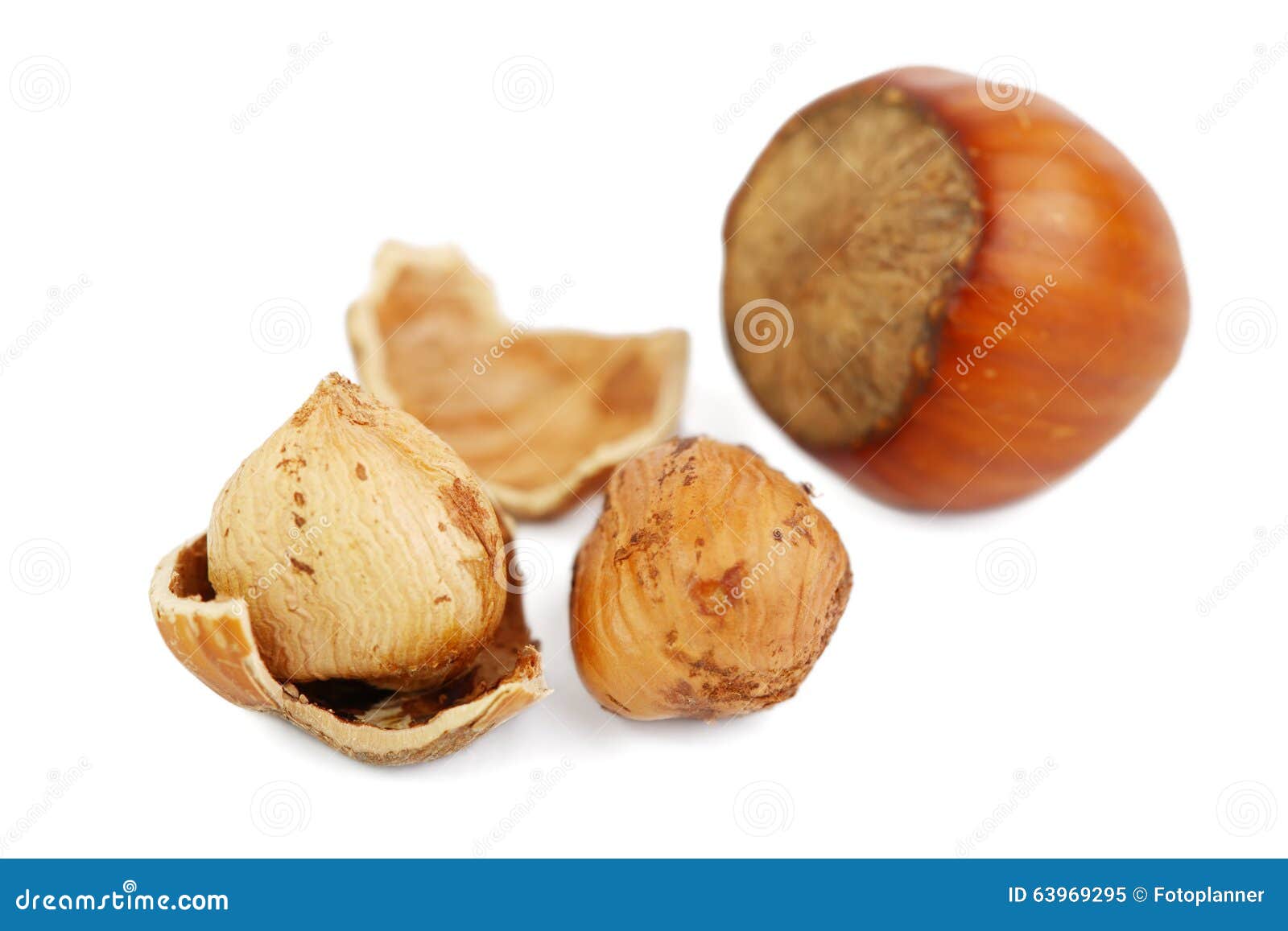 Hazelnut imagem de stock. Imagem de rachado, aberto, branco 63969295