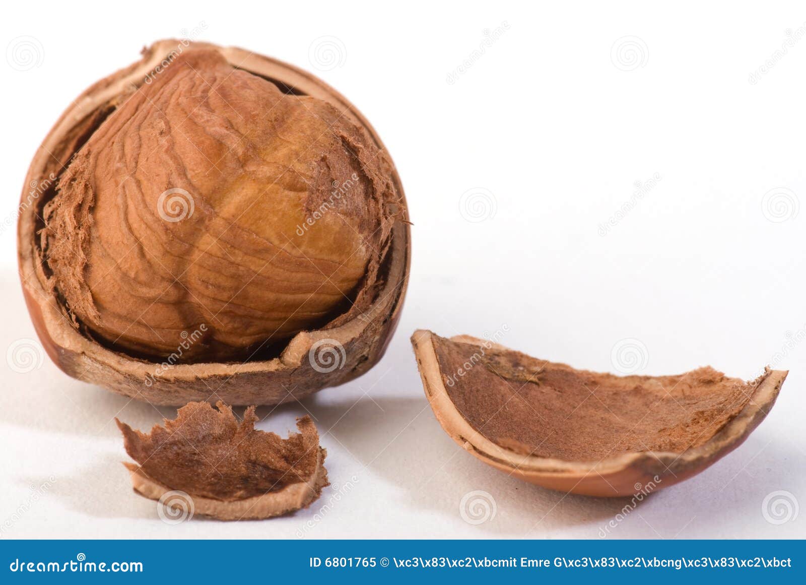 Hazelnut stock image. Image of dieting, close, assorted 6801765