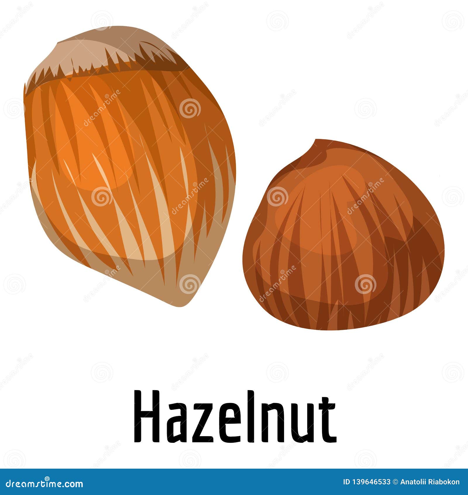 Hazelnut Icon, Cartoon Style Stock Vector Illustration of healthy