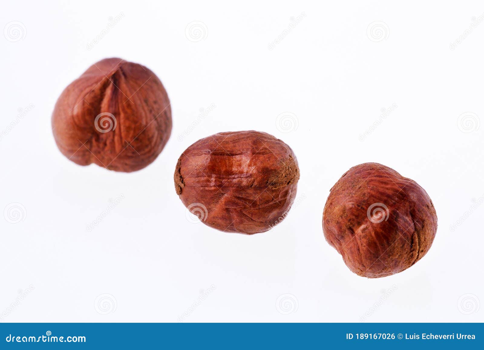 Hazelnut Nuts, Organic Dry Fruit Corylus Avellana Stock Photo Image