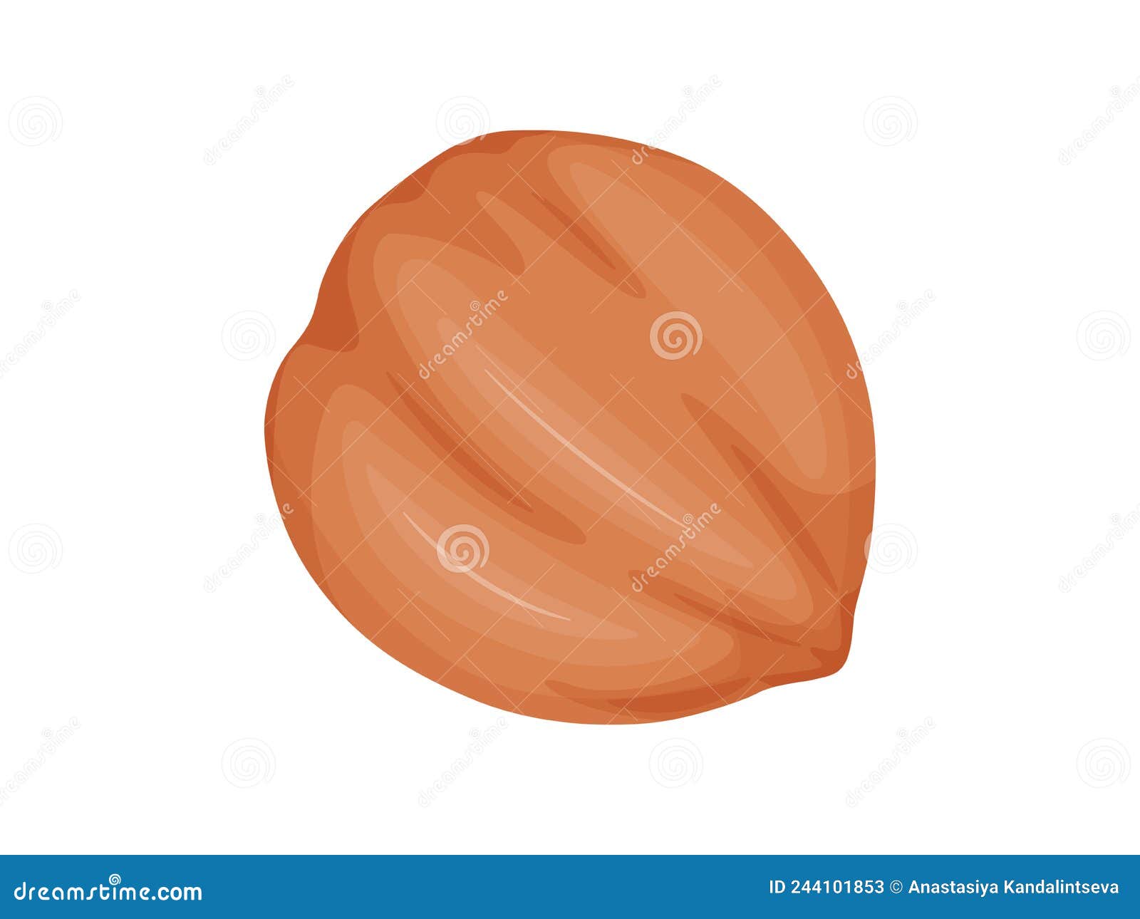 Hazelnut. Nuts in Shell. Healthy and Vegetarian Foosd Stock Vector