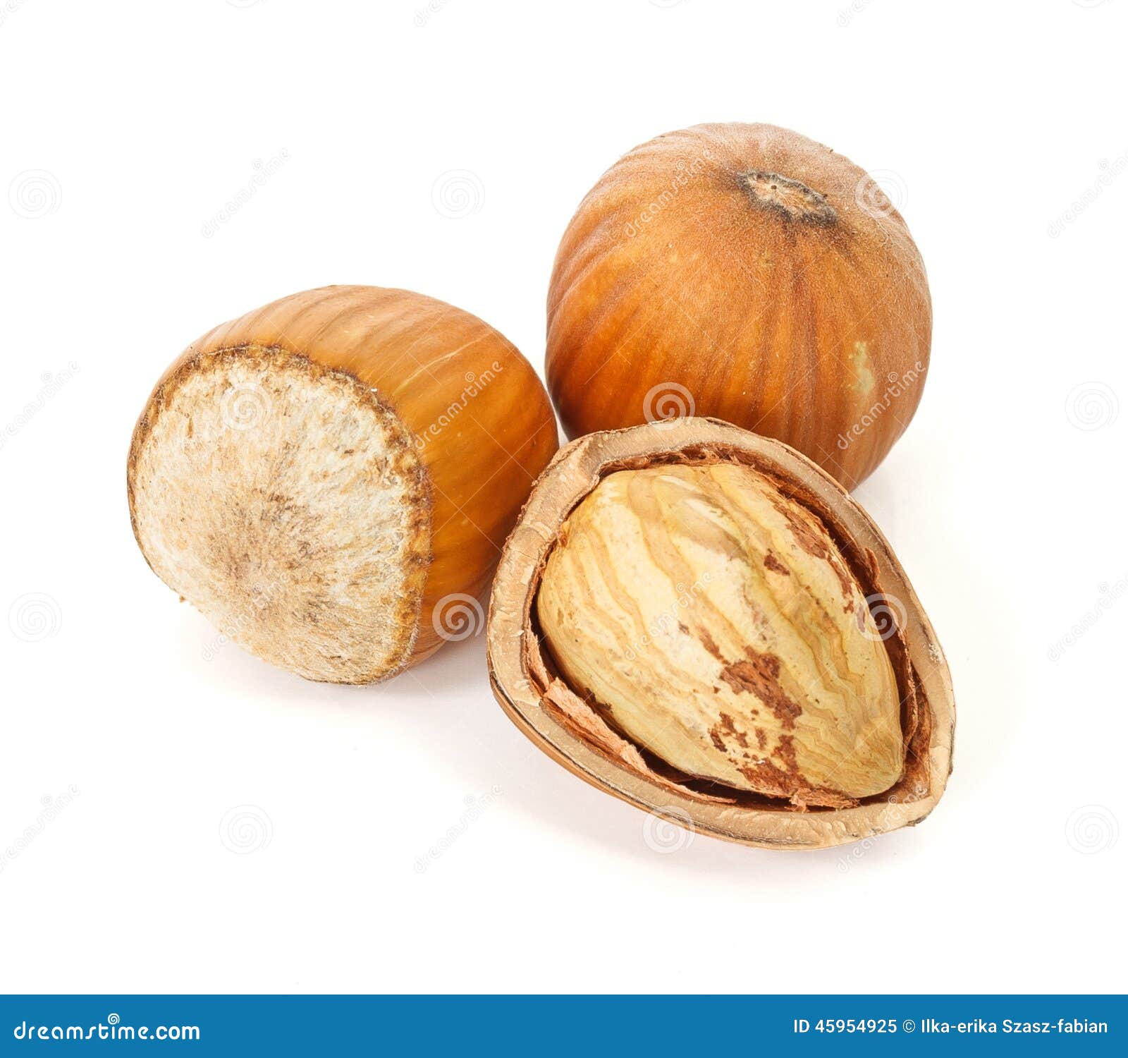 Hazelnut seeds stock image. Image of ingredient, nuts 45954925