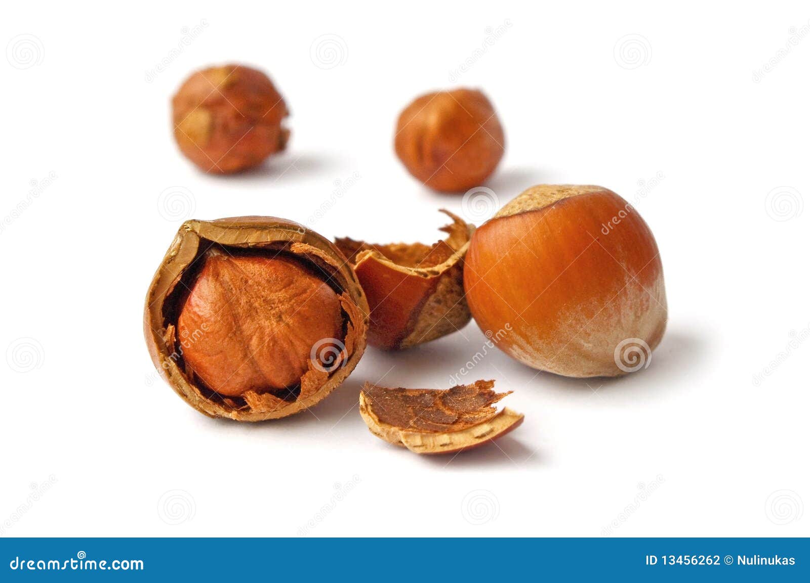 Hazelnuts stock photo. Image of hazelnut, background 13456262