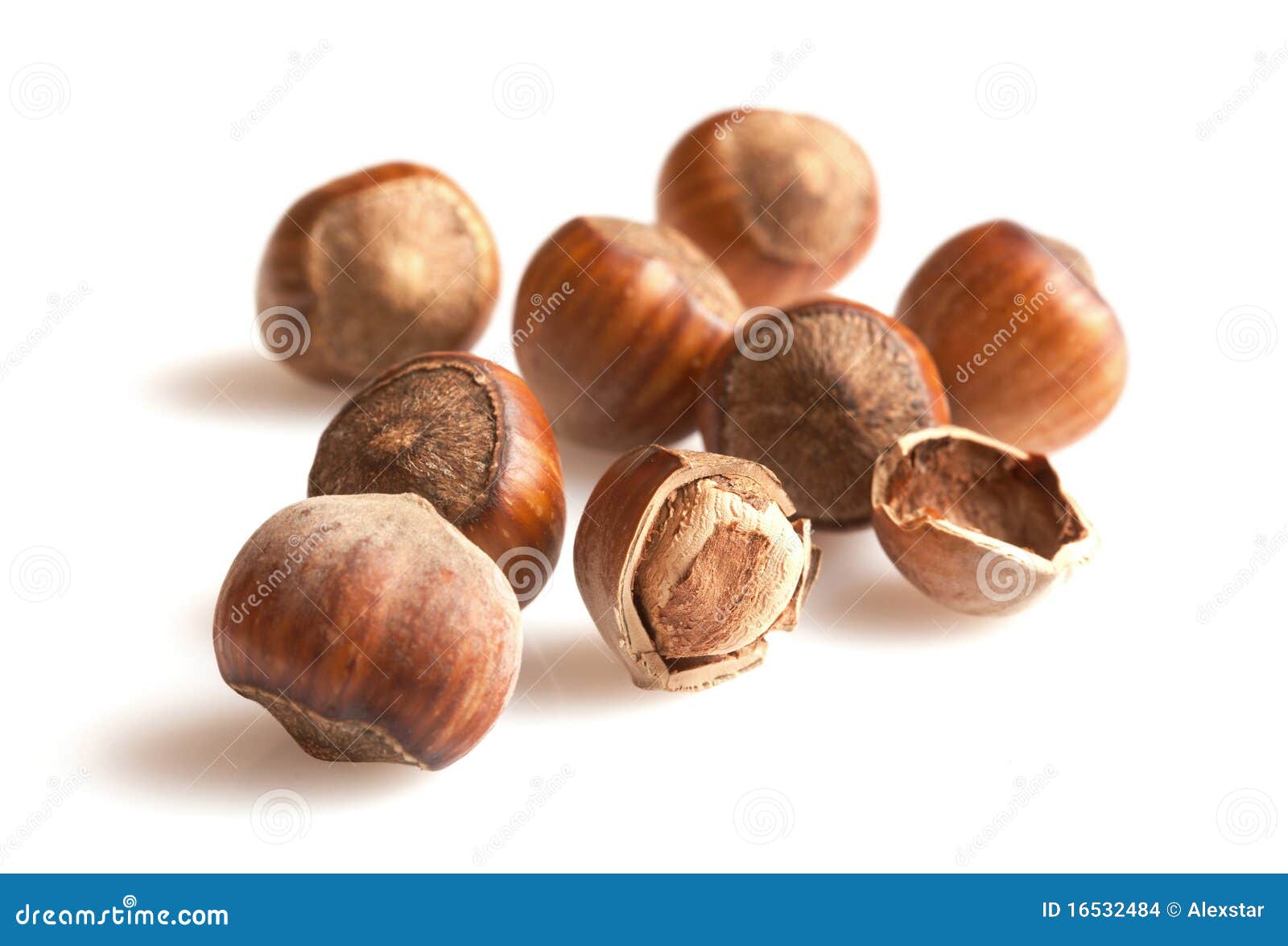 Hazelnuts stock photo. Image of macro, cooking, nutritive 16532484