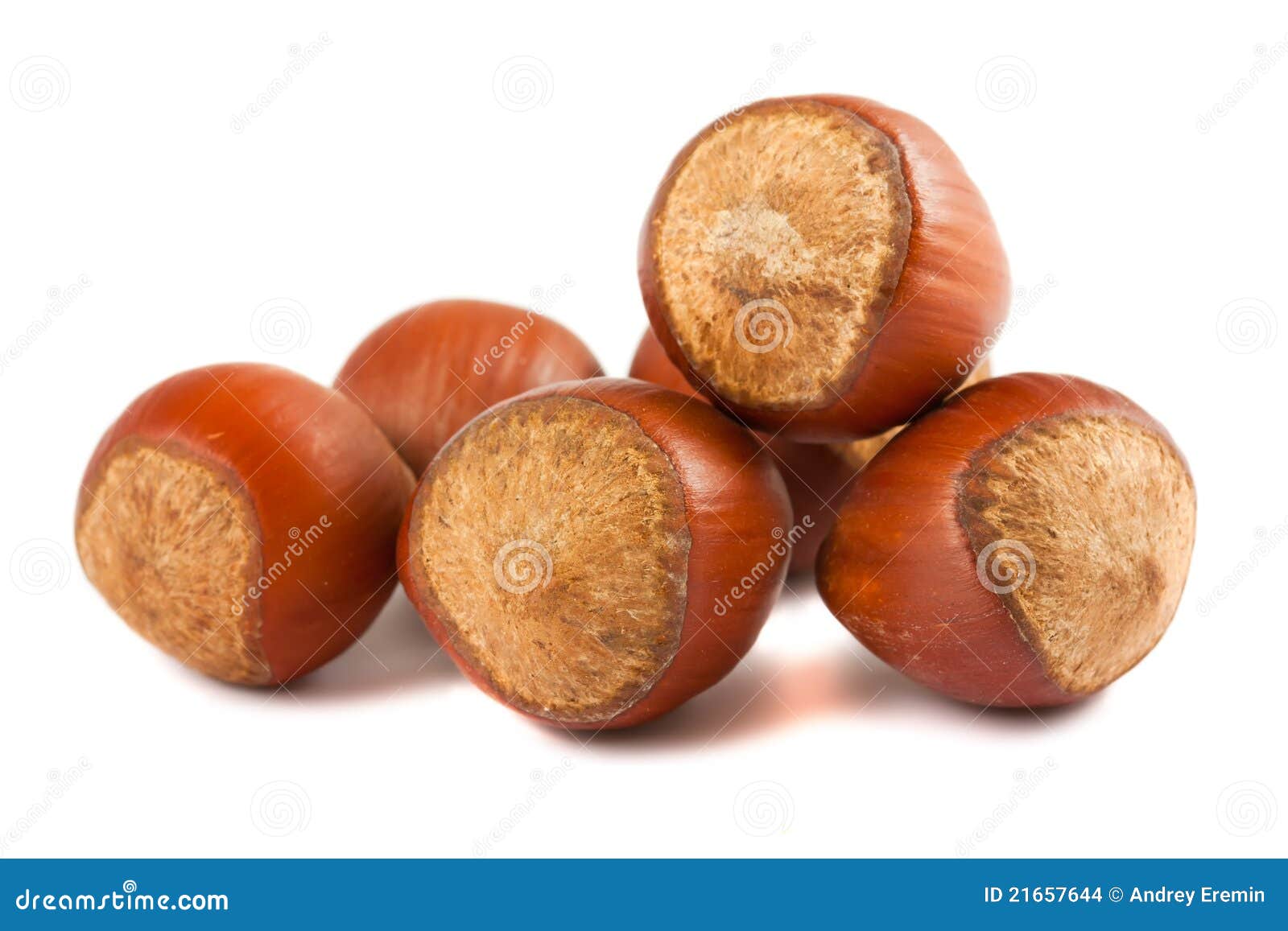 Hazelnuts stock photo. Image of seasonal, edible, plant 21657644