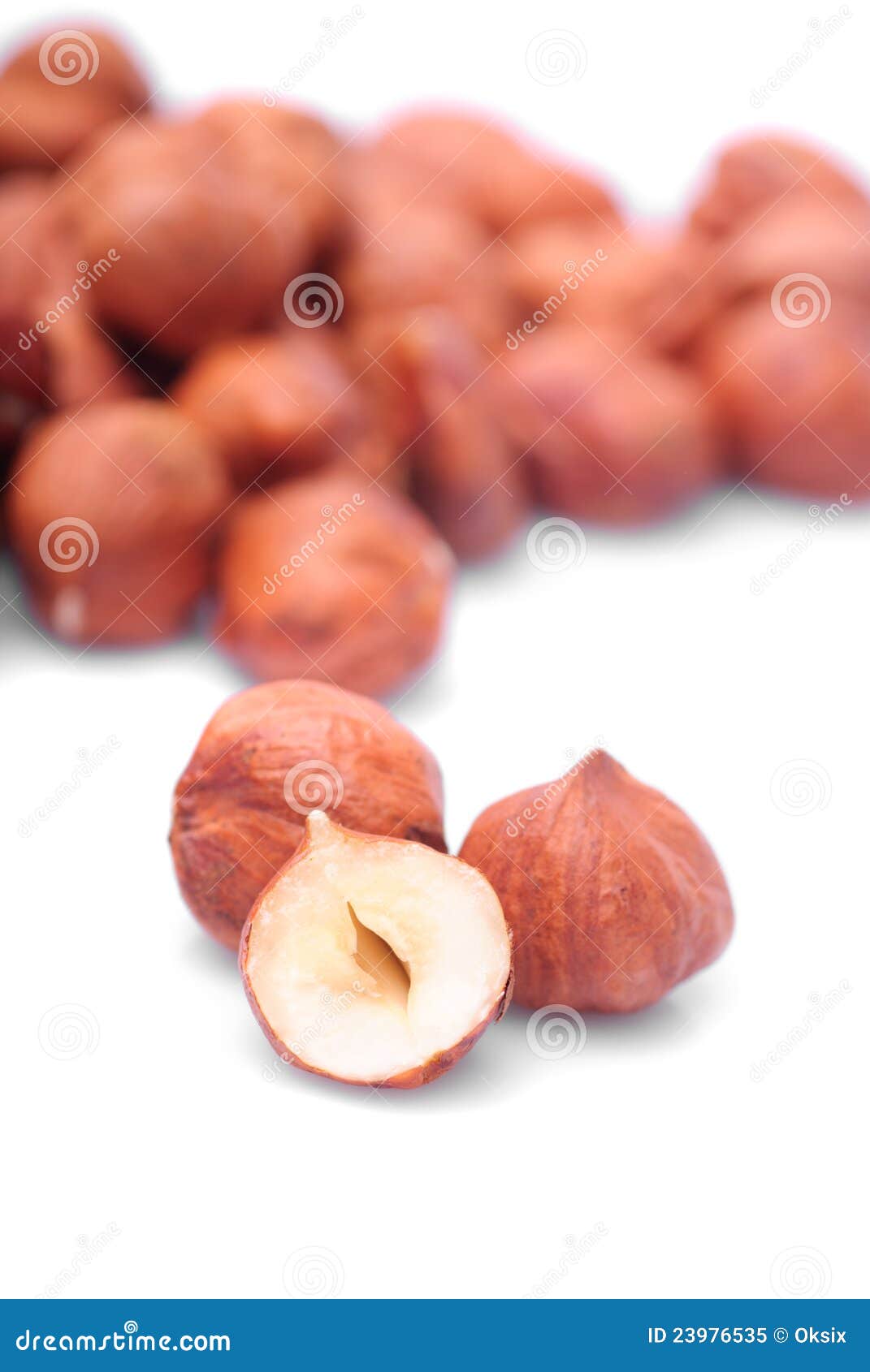Hazelnuts stock image. Image of plant, fattening, eating 23976535