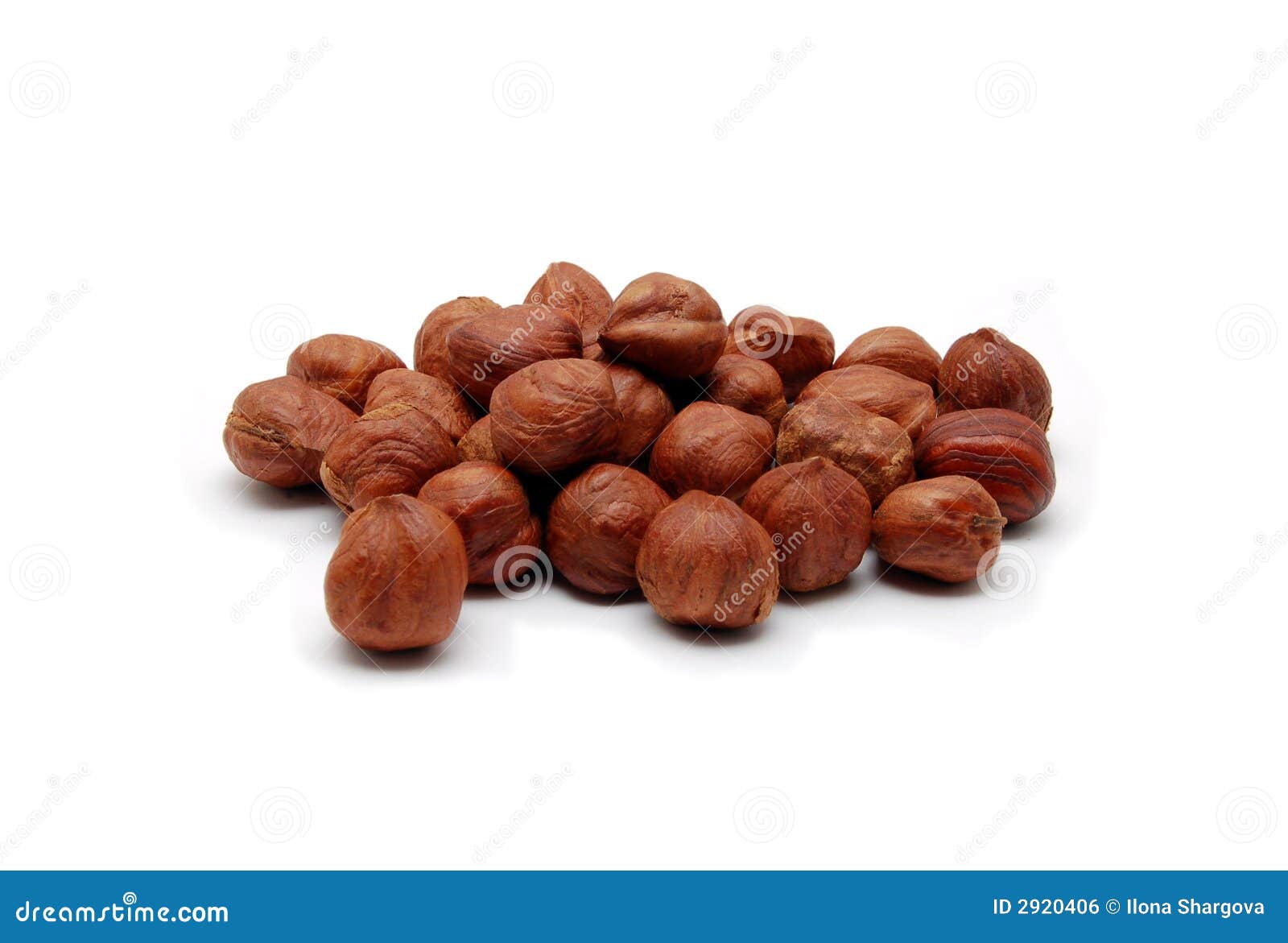 Hazelnuts stock photo. Image of hazelnuts, brown, edible 2920406