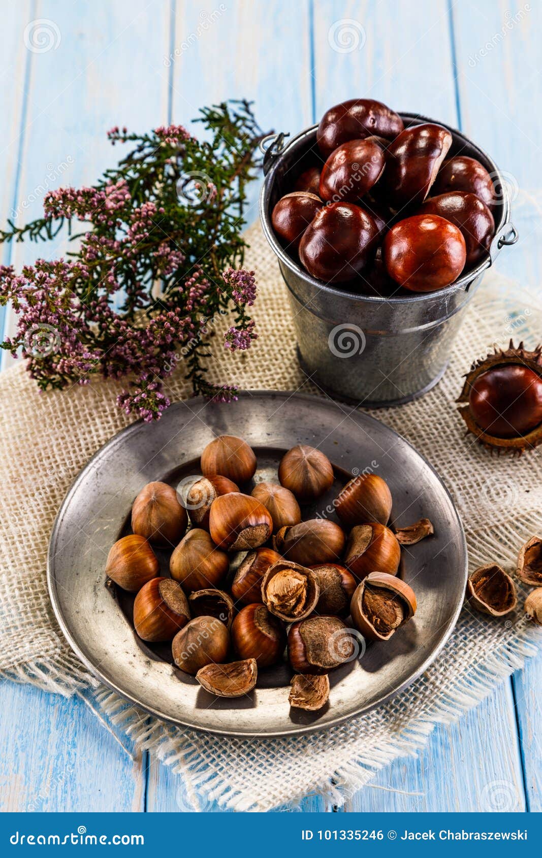 Hazelnuts and chestnuts stock photo. Image of seed, open 101335246