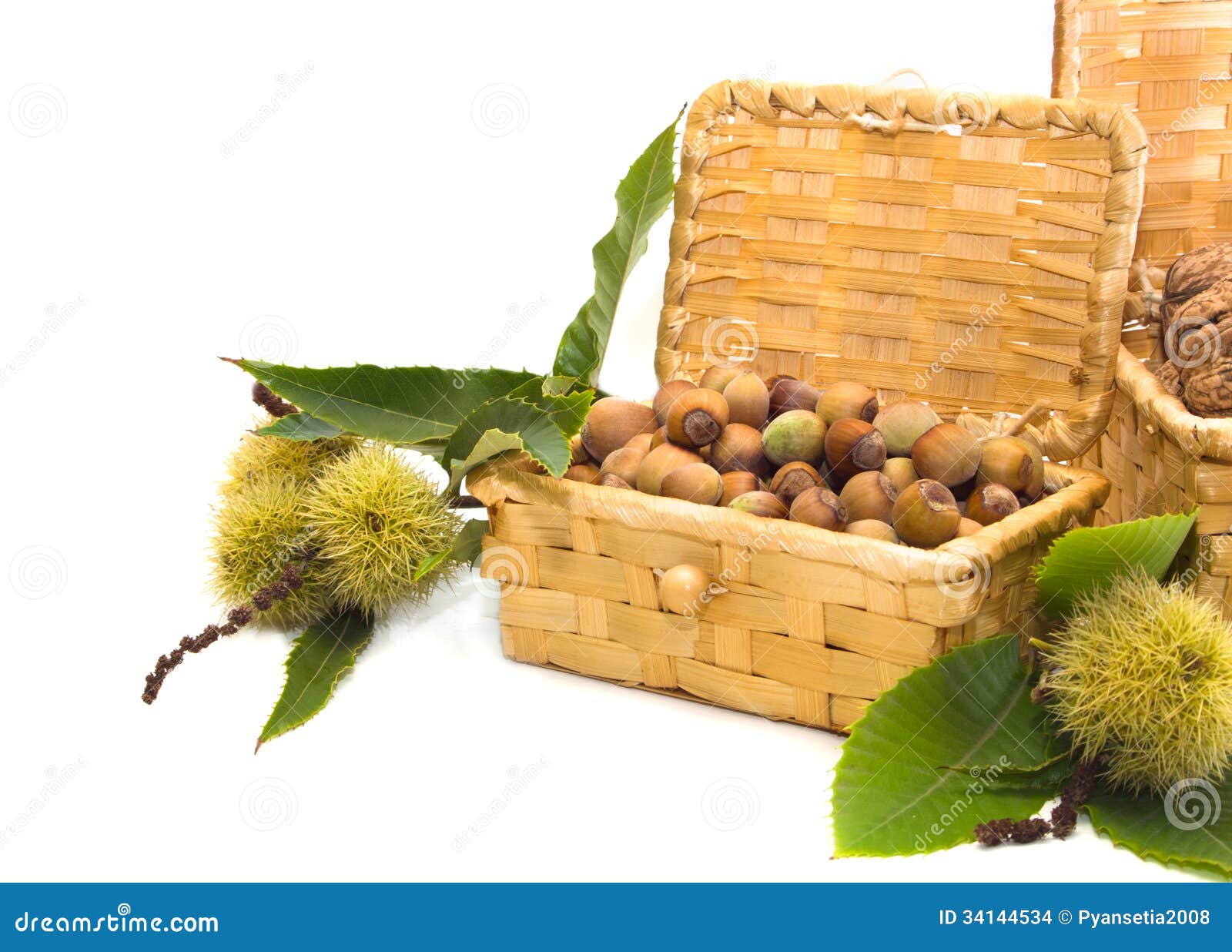 Hazelnuts and Chestnuts in a Wicker Basket Stock Photo Image of