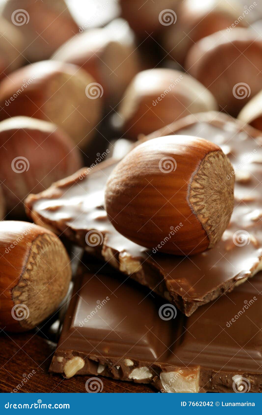 Hazelnuts and Chocolate in Brown Enviroment Stock Photo Image of