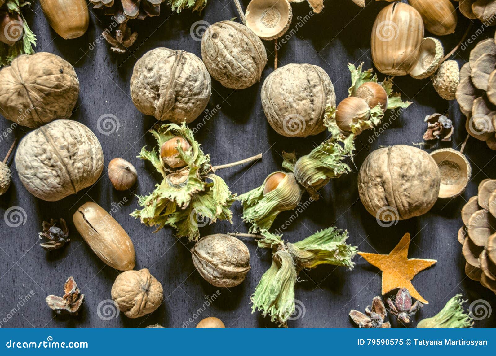 Hazelnuts with Dry Peduncle, Nuts, Pine Cones,acorns on Black