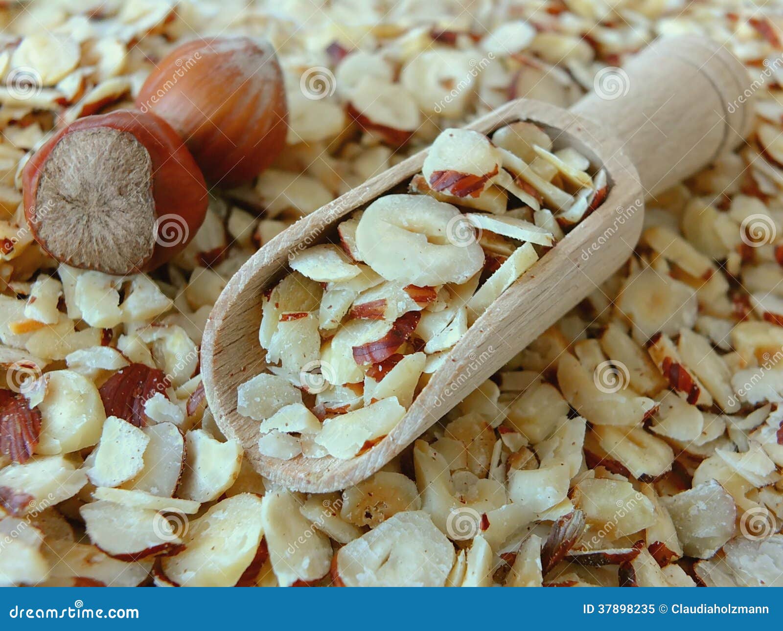 Hazelnuts stock image. Image of season, piled, hazelnuts 37898235