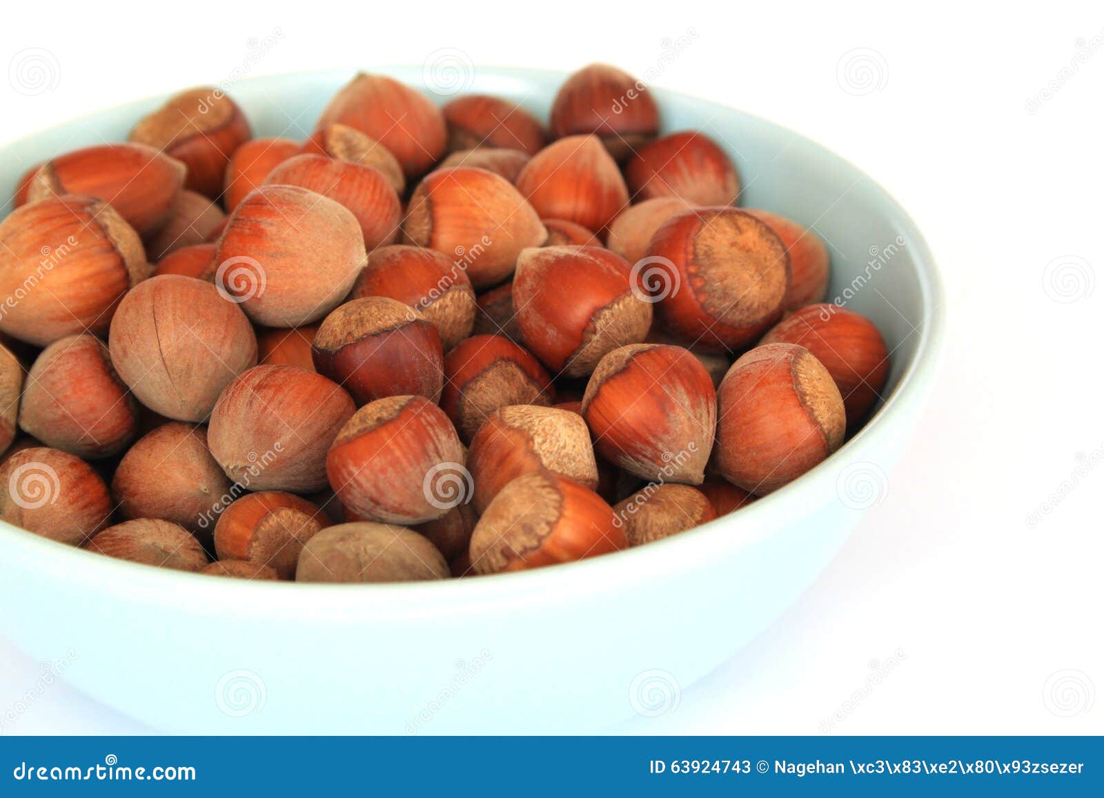 Hazelnuts stock image. Image of protein, white, carbohydrate 63924743