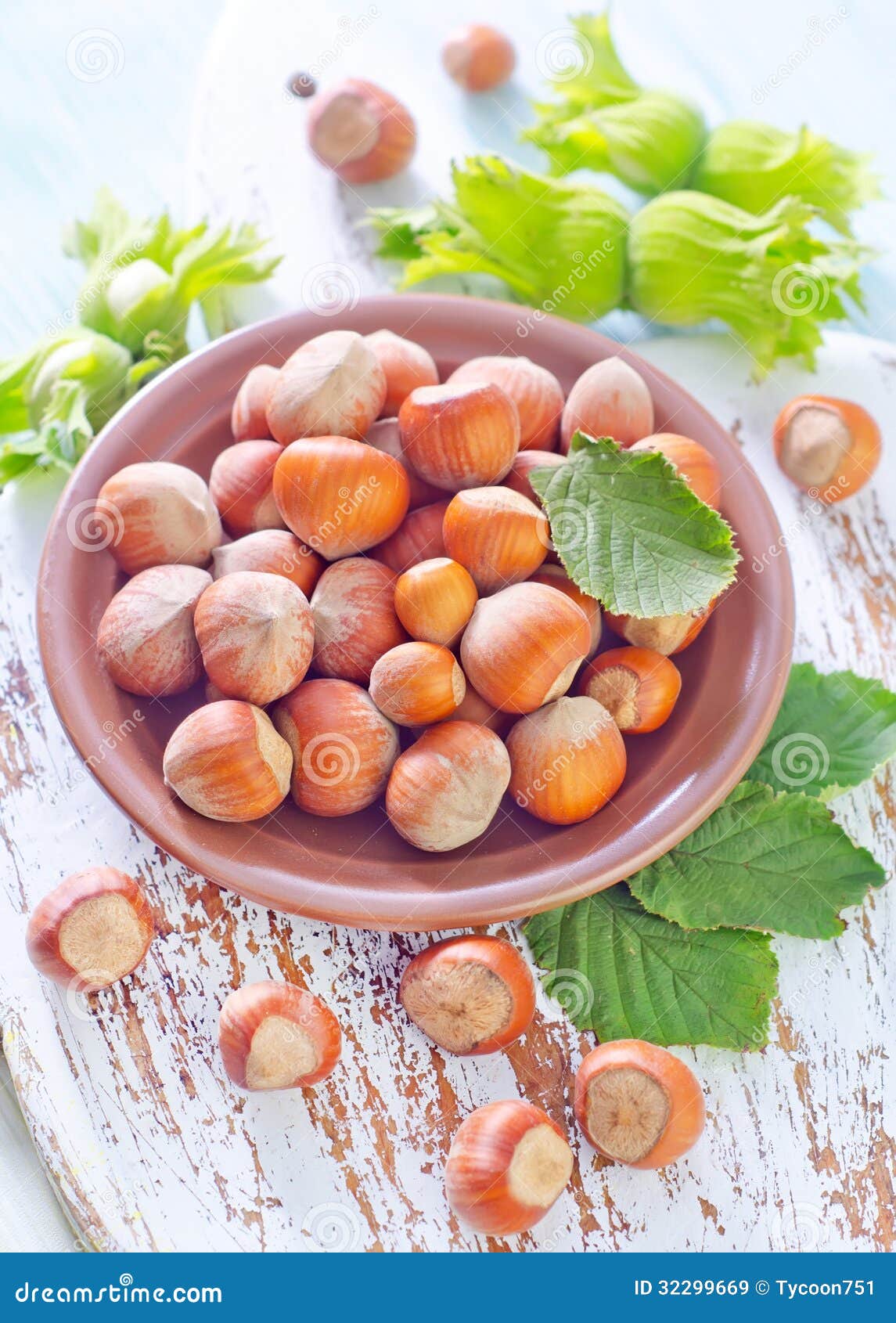Hazelnuts stock image. Image of hazelnut, edible, green 32299669