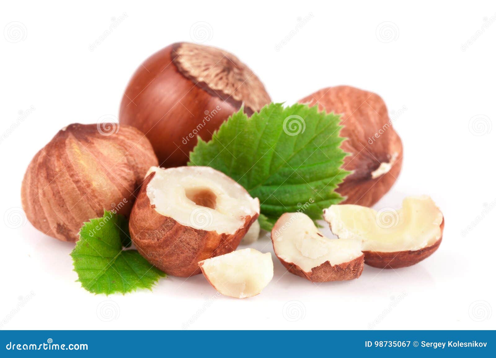 Hazelnuts with Leaves Isolated on White Background Stock Image Image