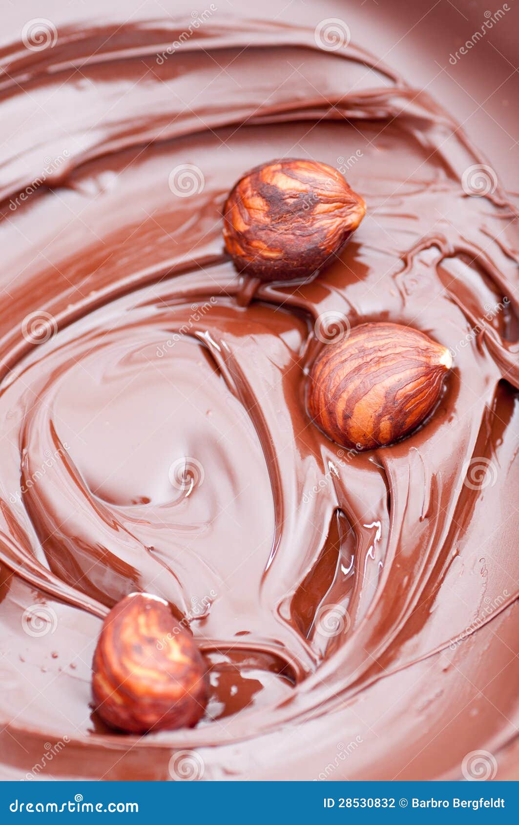 Hazelnuts in Melted Chocolate Stock Photo Image of sweet, chocolate