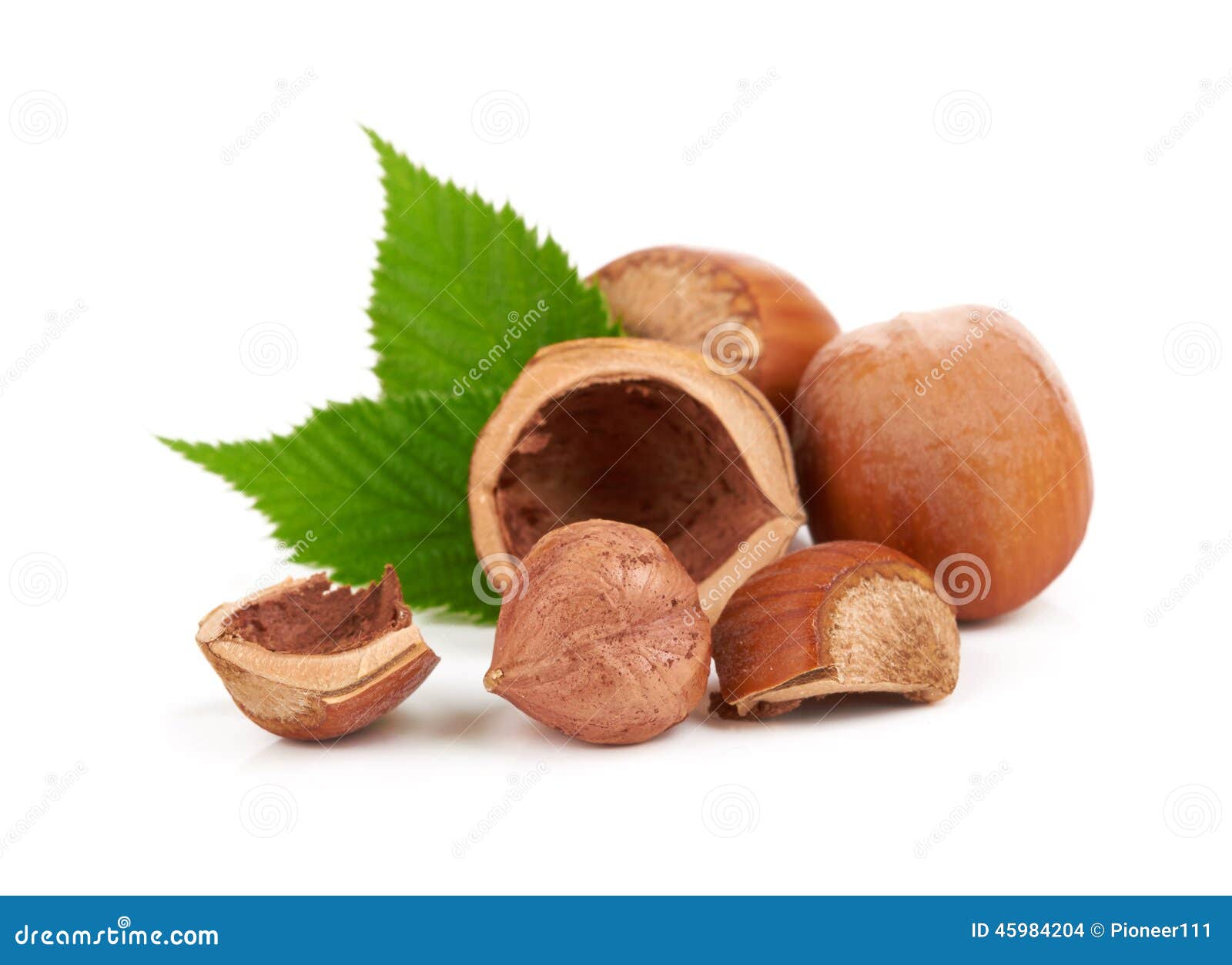 Hazelnuts stock photo. Image of yellow, hard, closeup 45984204