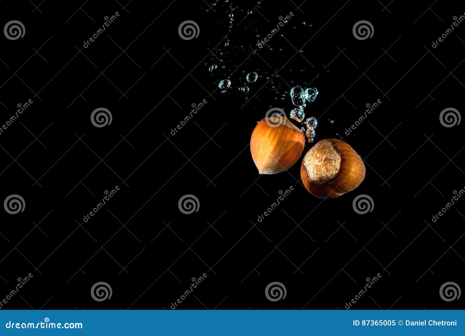 Hazelnuts in Shell in Water with Air Bubbles Water Splash Isolated on Black Stock Image Image