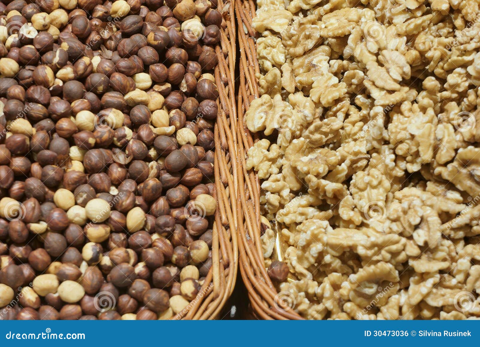 Hazelnuts and walnuts stock photo. Image of organic, assortment 30473036