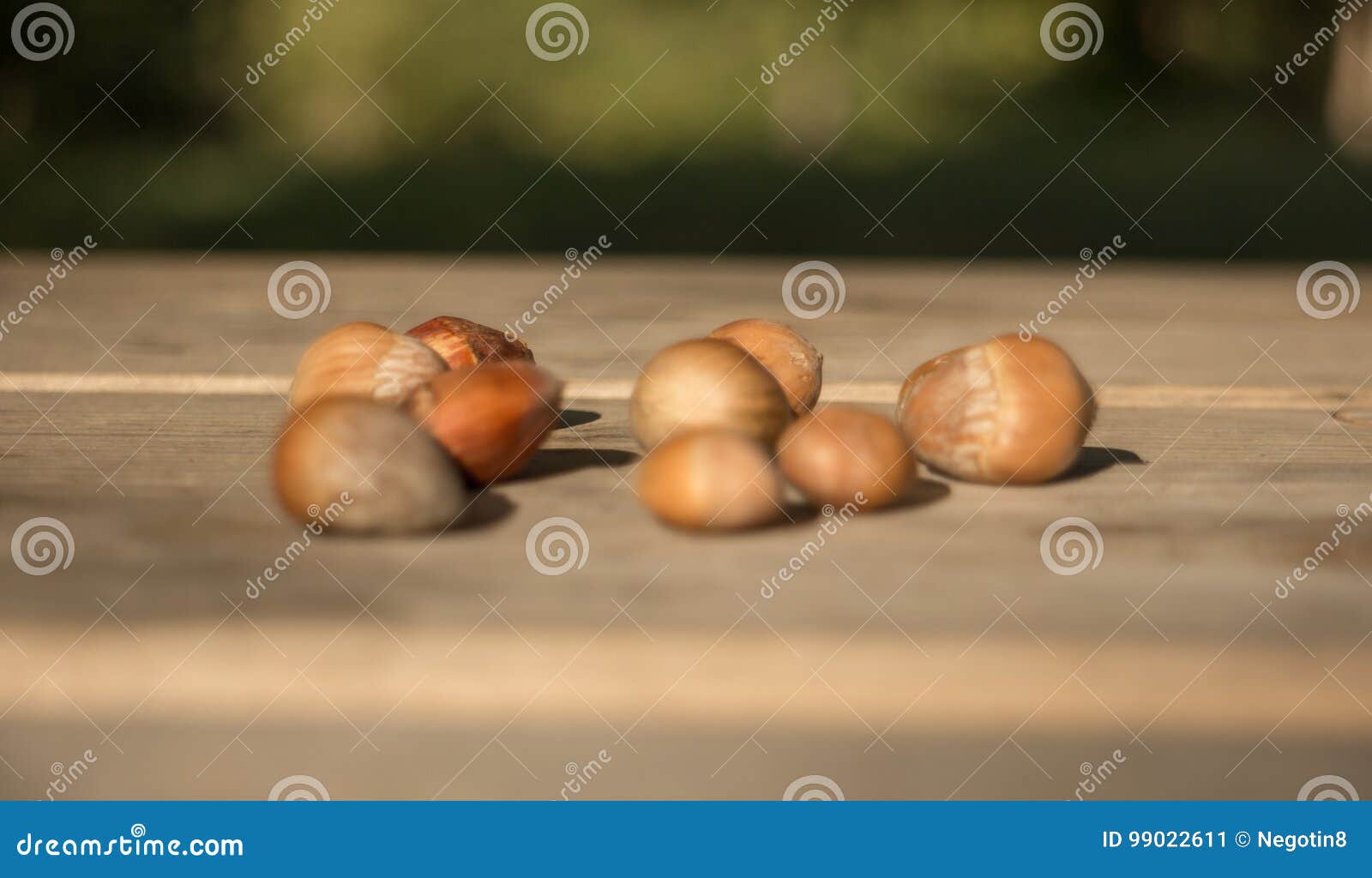 Hazelnuts on table stock image. Image of outdoor, carbohydrates 99022611