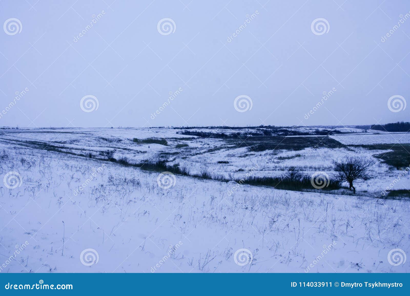 Hazentekens op de sneeuw in de Tavri-steppe Zaporozhyegebied, de Oekraïne januari 2011