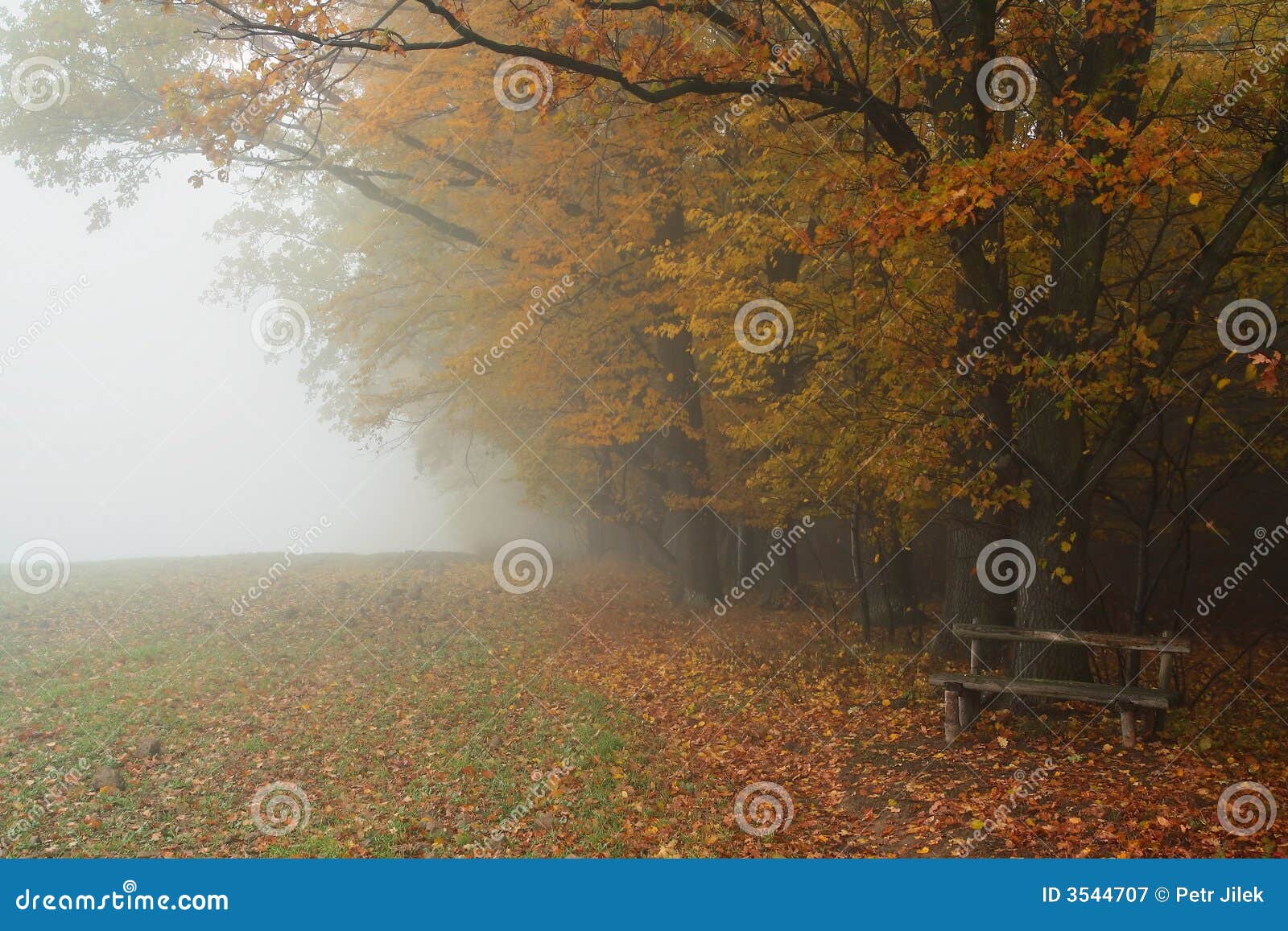 hazy autumnal fall landscape -