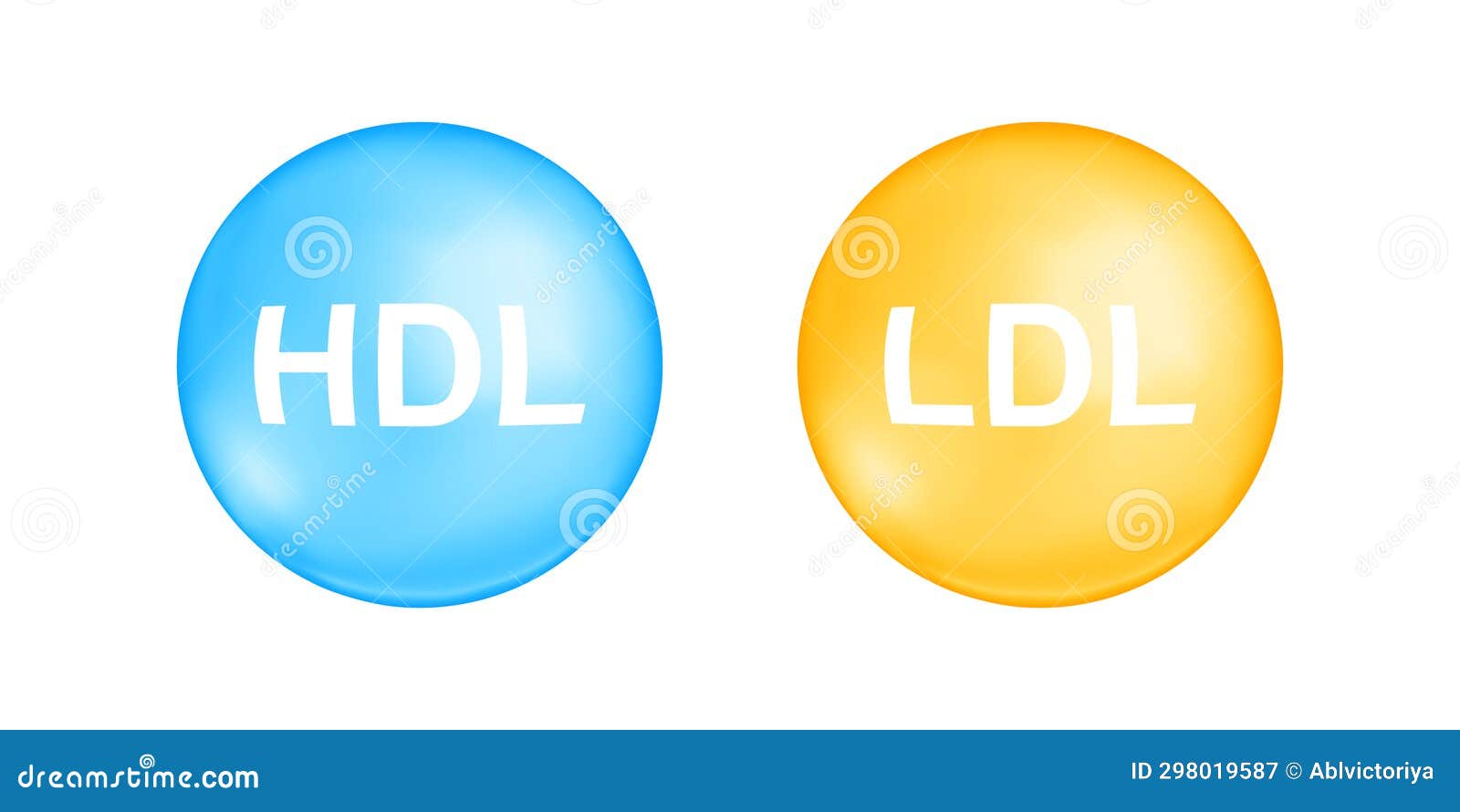 HDL and LDL Cholesterol Types. Good and Bad Cholesterin Concept Stock