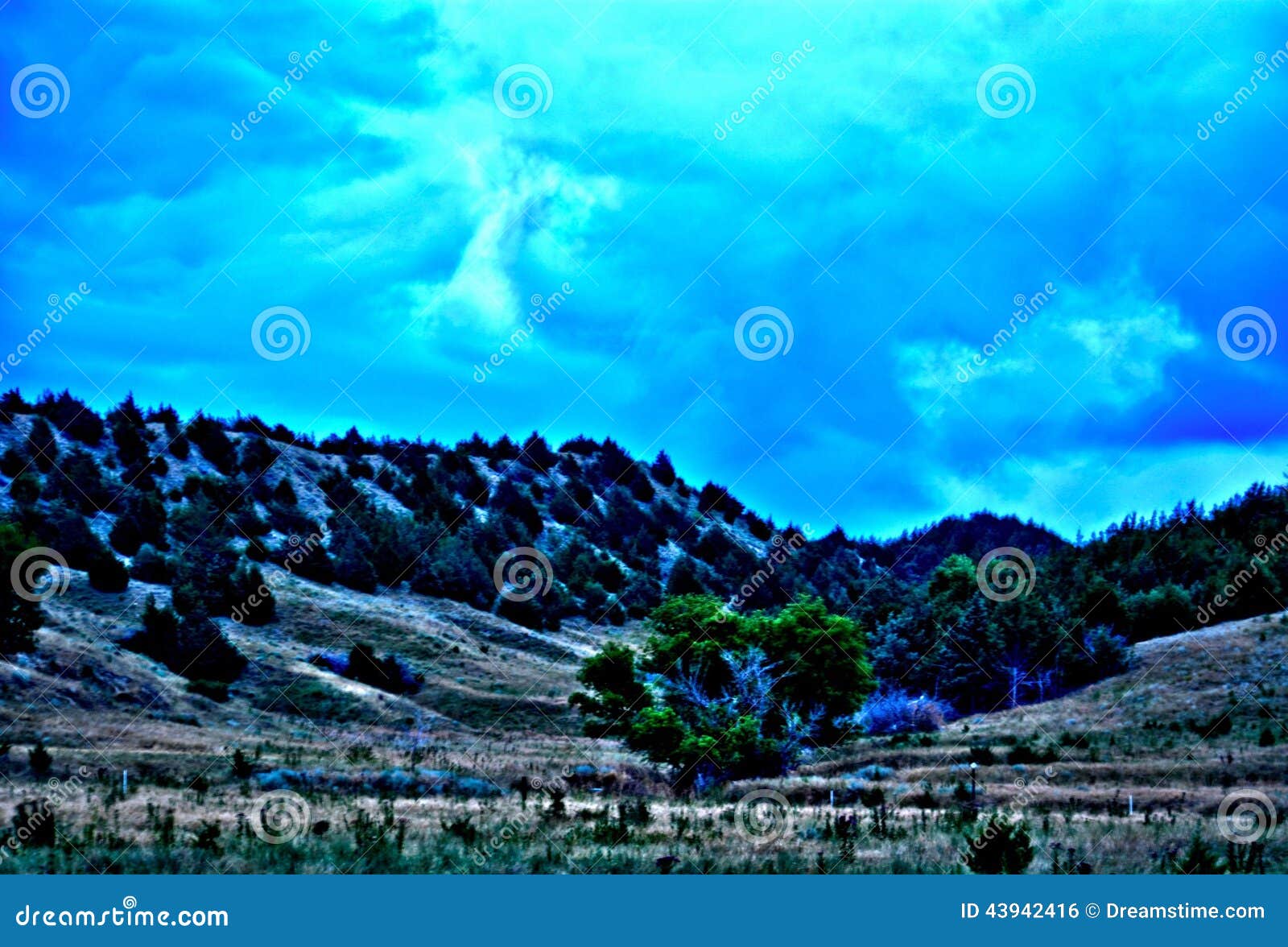 HDR Box Elder Canyon WMA stock photo. Image of boxelder 43942416