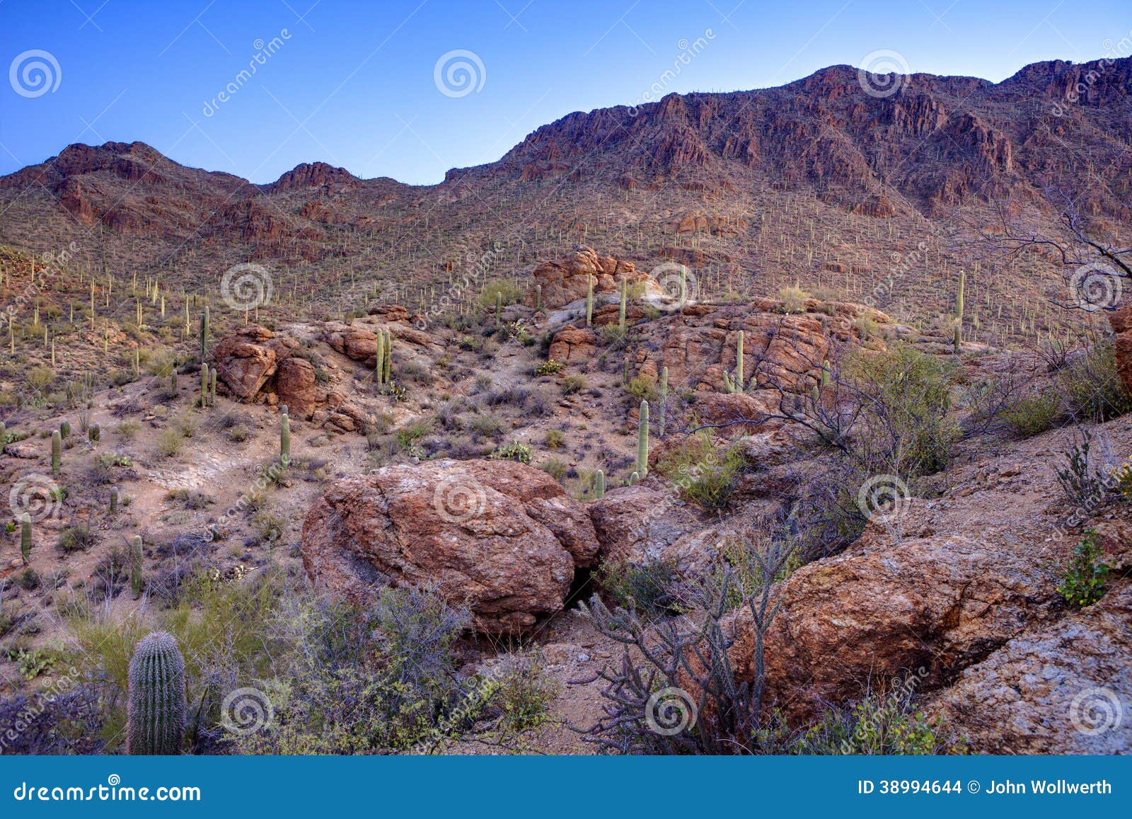 hdr of sonoran desert