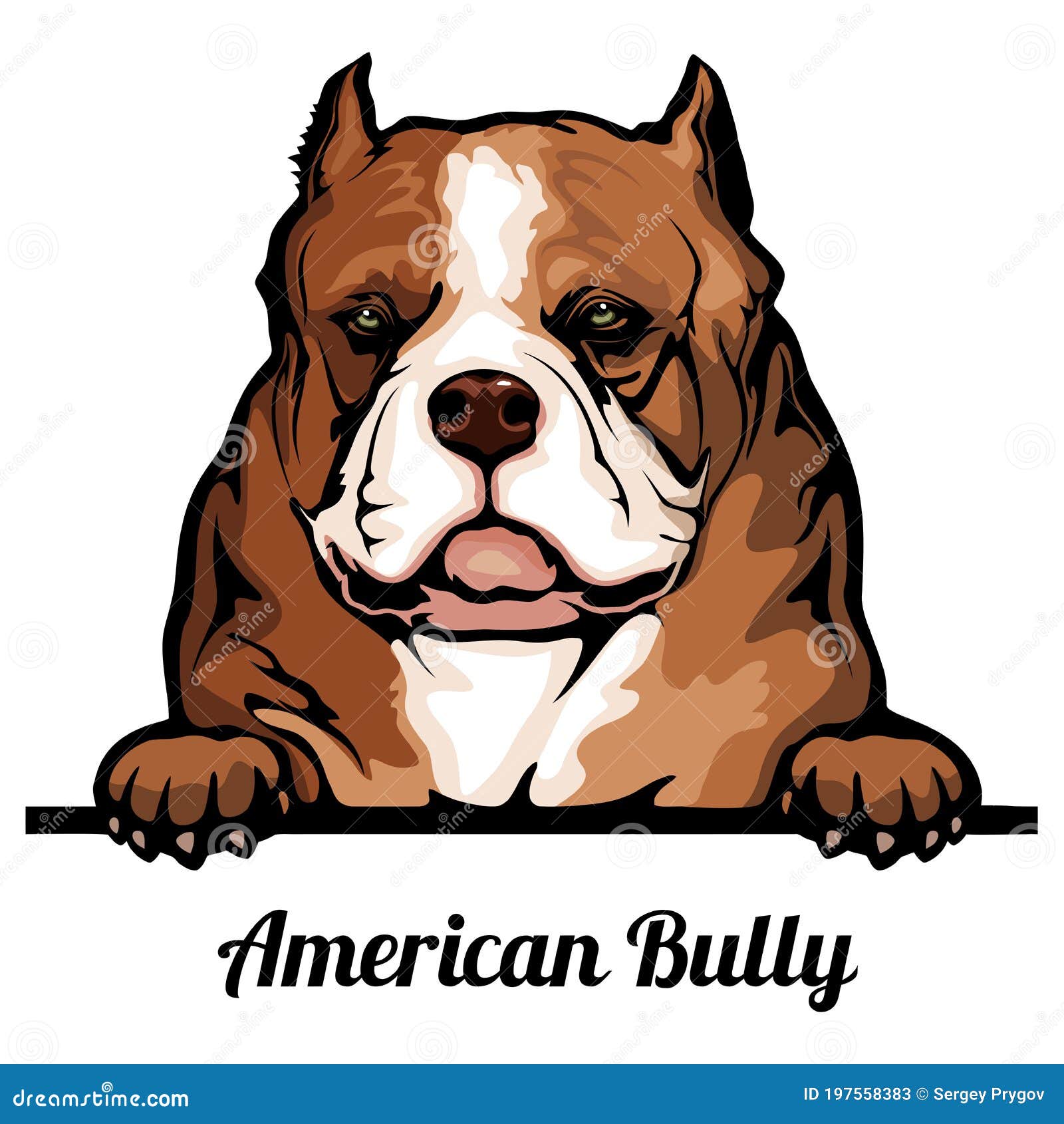 American Bully Dog Types