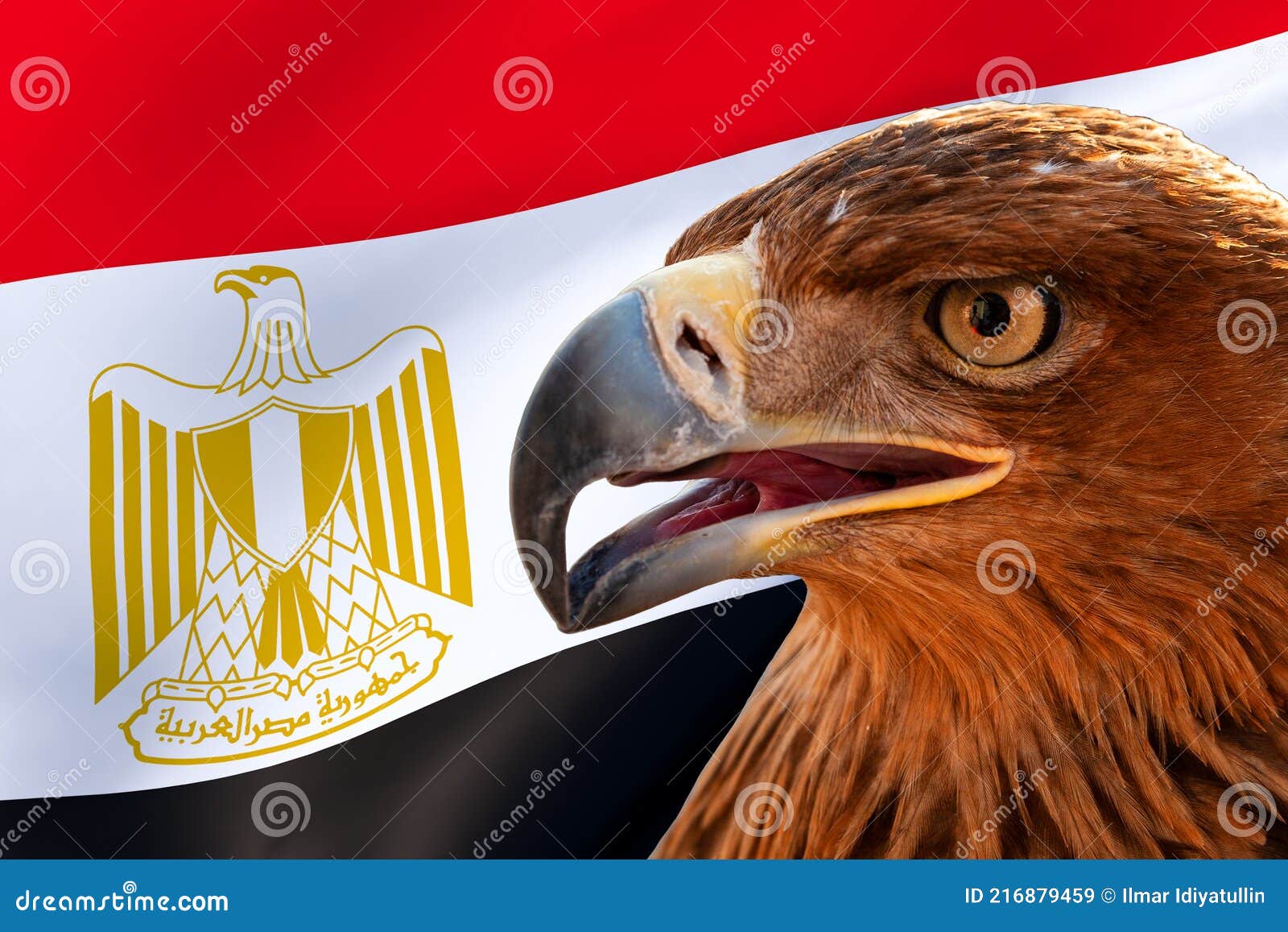 Head of a Bird of Prey or Eagle Against the Background of the State ...