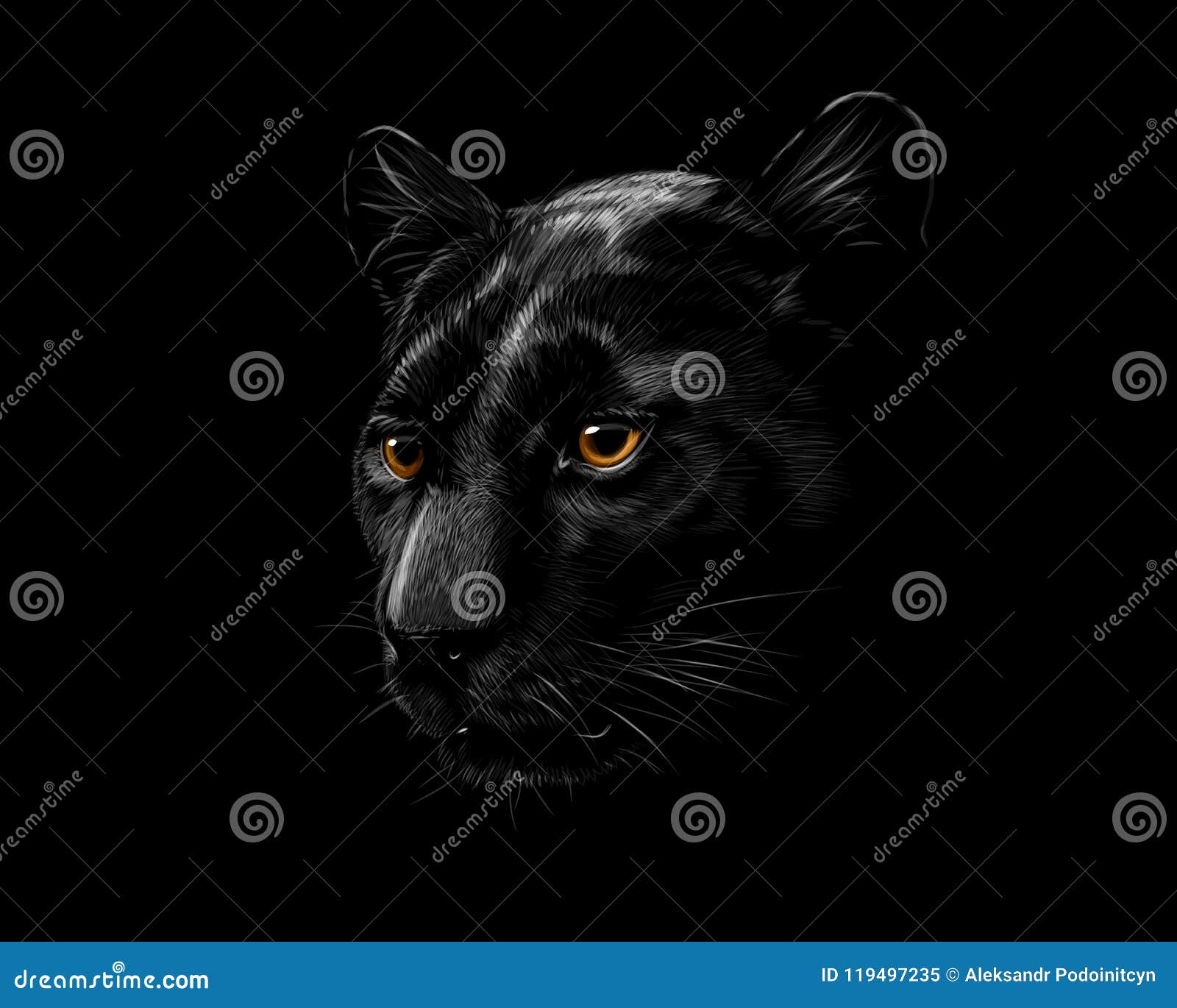 head of a black panther