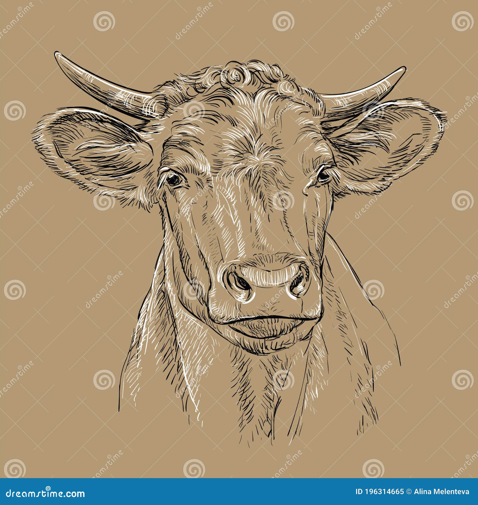 Bull Mascot Head Illustration - A cartoon illustration of a Bull Mascot. -  Stock Image - Everypixel
