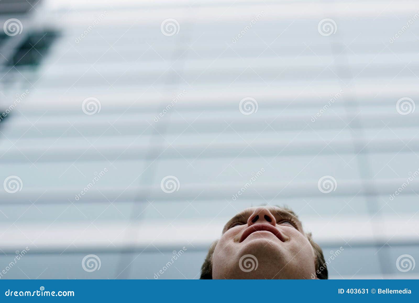A Head for Business stock image. Image of smile, eyebrow 403631