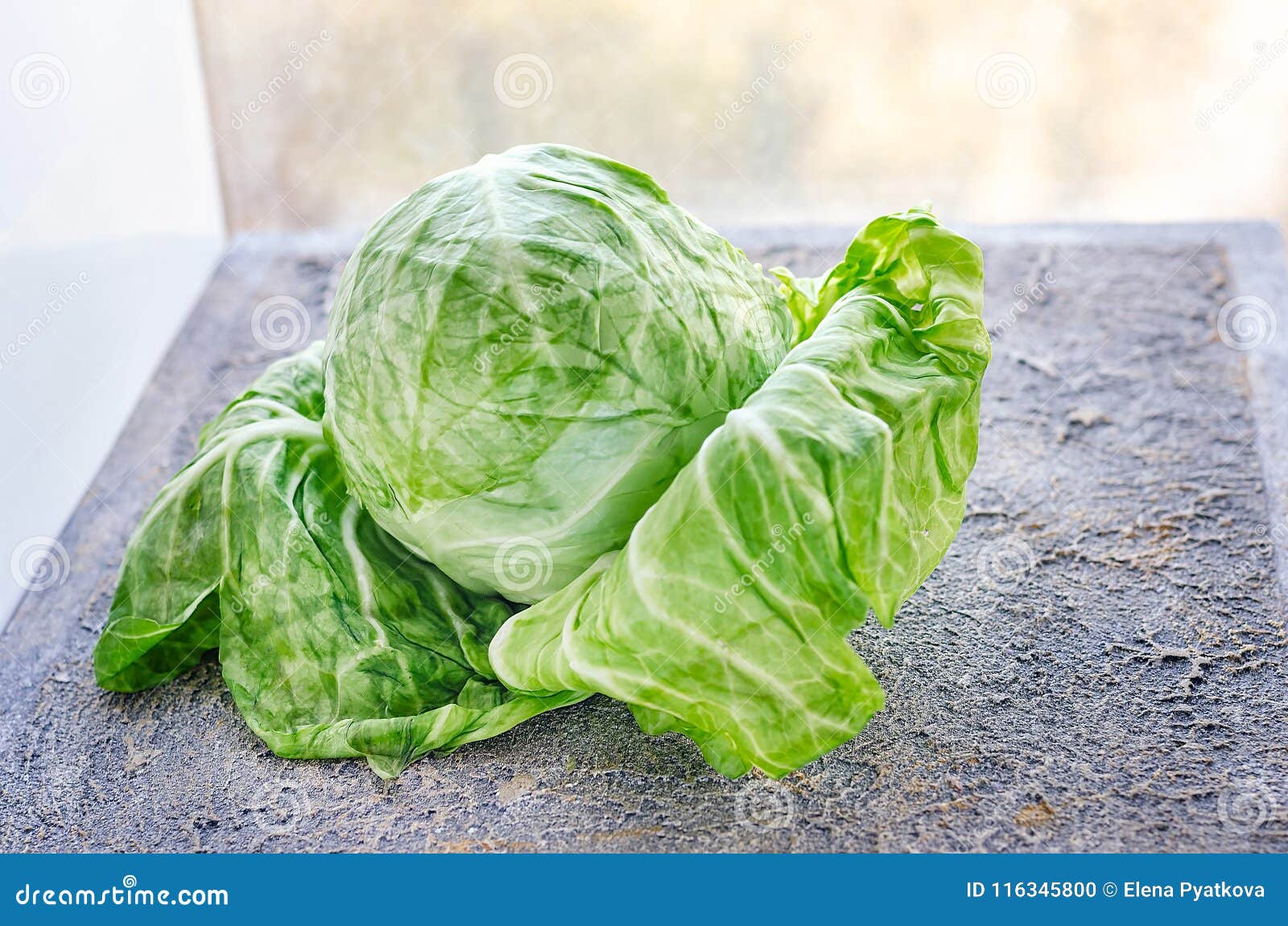 Head of cabbage cabbage, fresh harvest close-up