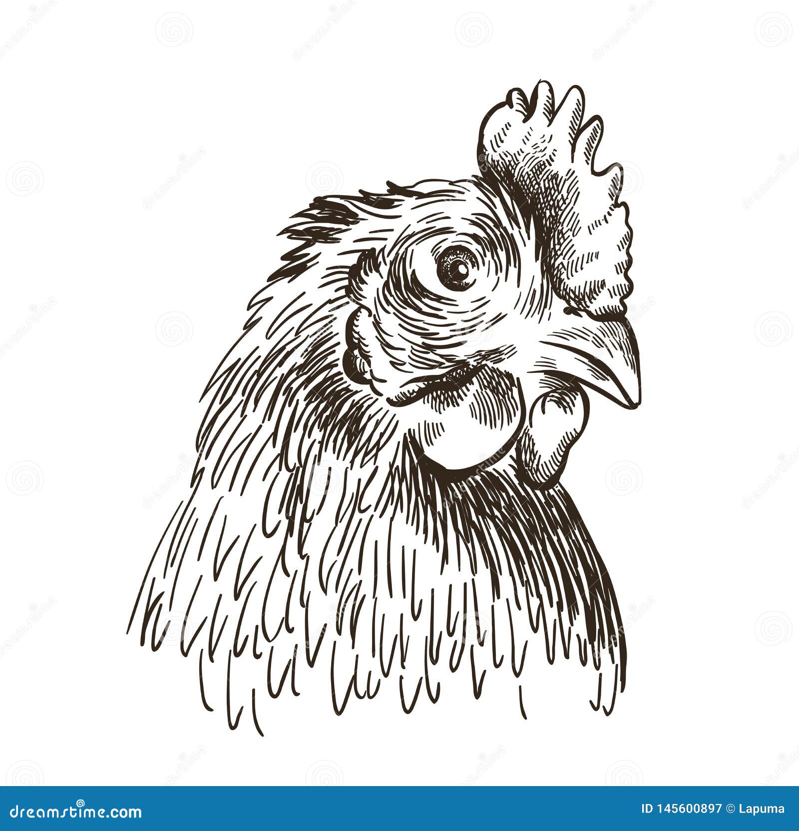 Delicious fried chicken sketch hand drawn vector Illustration #253882796