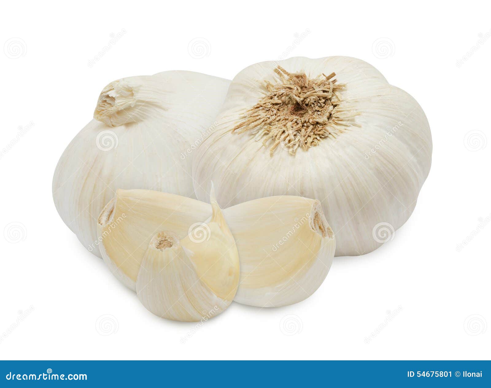 Head and clove of garlic stock image. Image of isolated 54675801